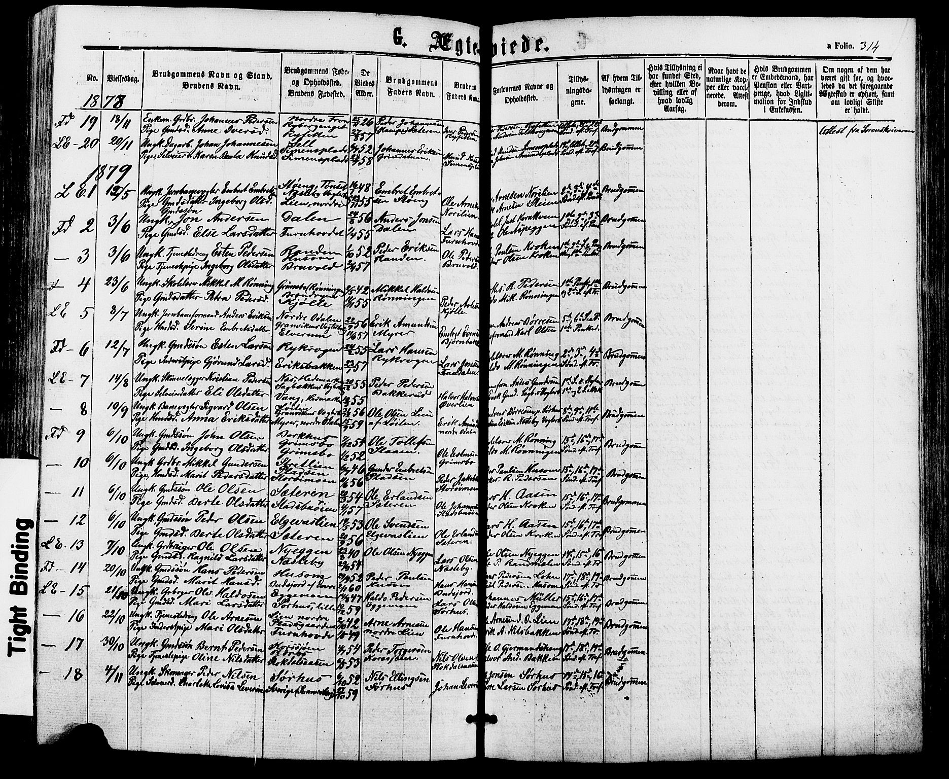 Alvdal prestekontor, SAH/PREST-060/H/Ha/Haa/L0001: Parish register (official) no. 1, 1863-1882, p. 314