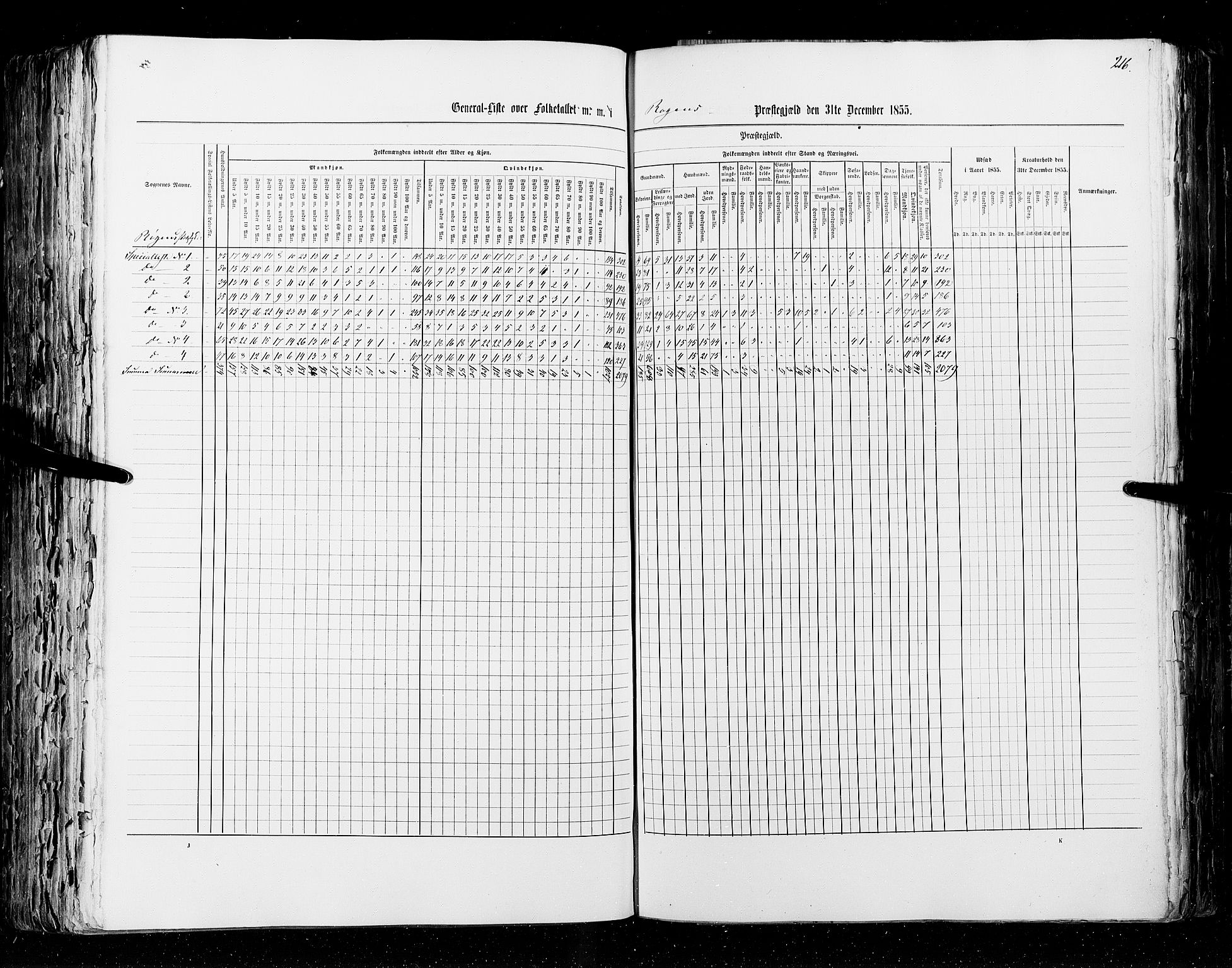 RA, Census 1855, vol. 2: Kristians amt, Buskerud amt og Jarlsberg og Larvik amt, 1855, p. 216