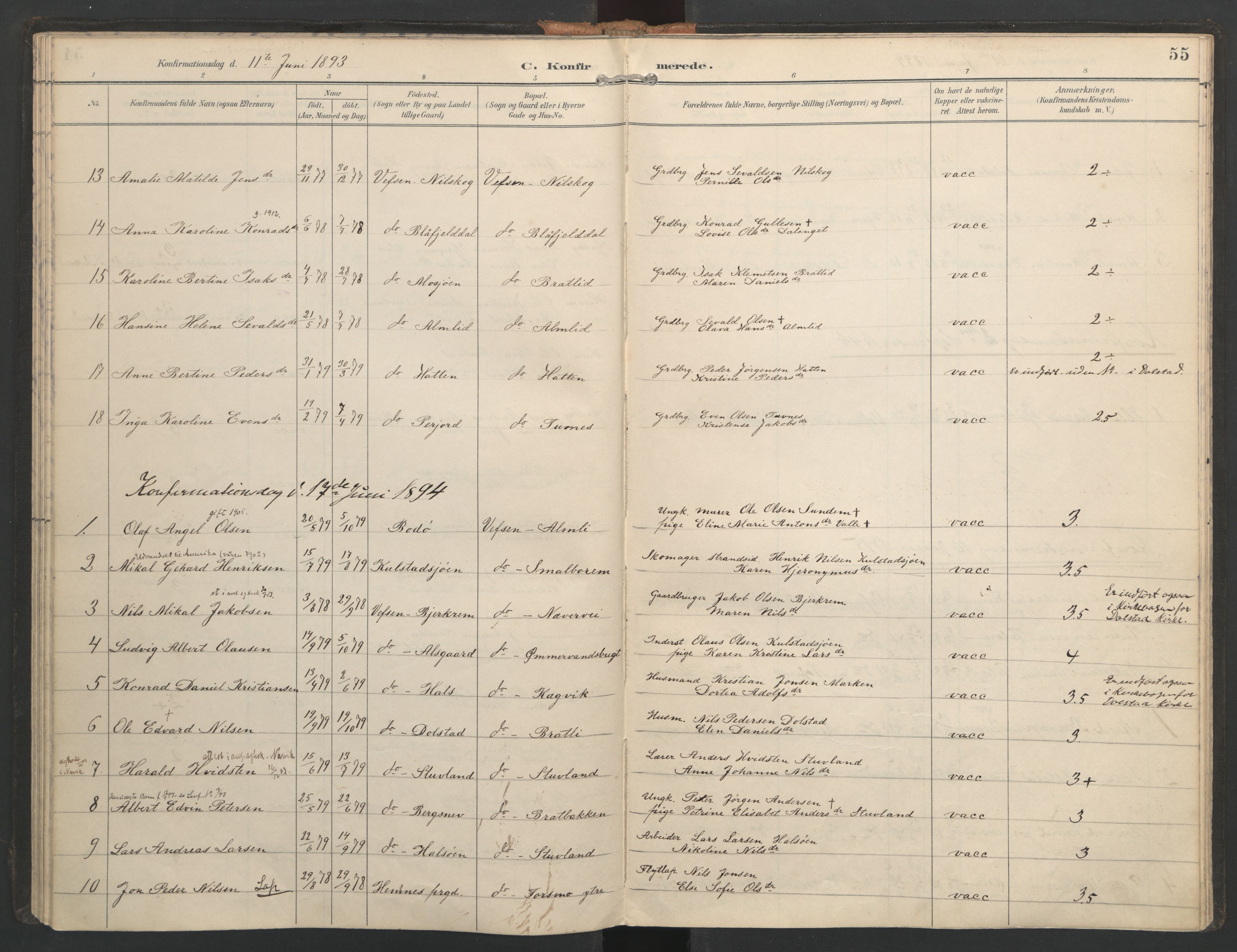 Ministerialprotokoller, klokkerbøker og fødselsregistre - Nordland, AV/SAT-A-1459/821/L0317: Parish register (official) no. 821A01, 1892-1907, p. 55