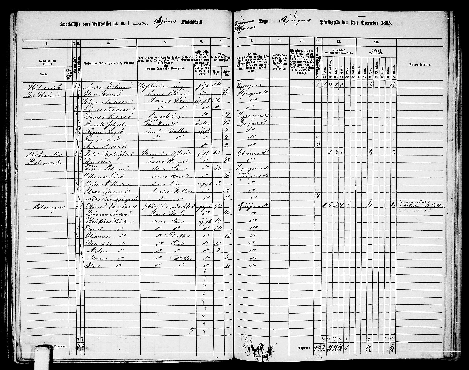 RA, 1865 census for Bjugn, 1865, p. 126