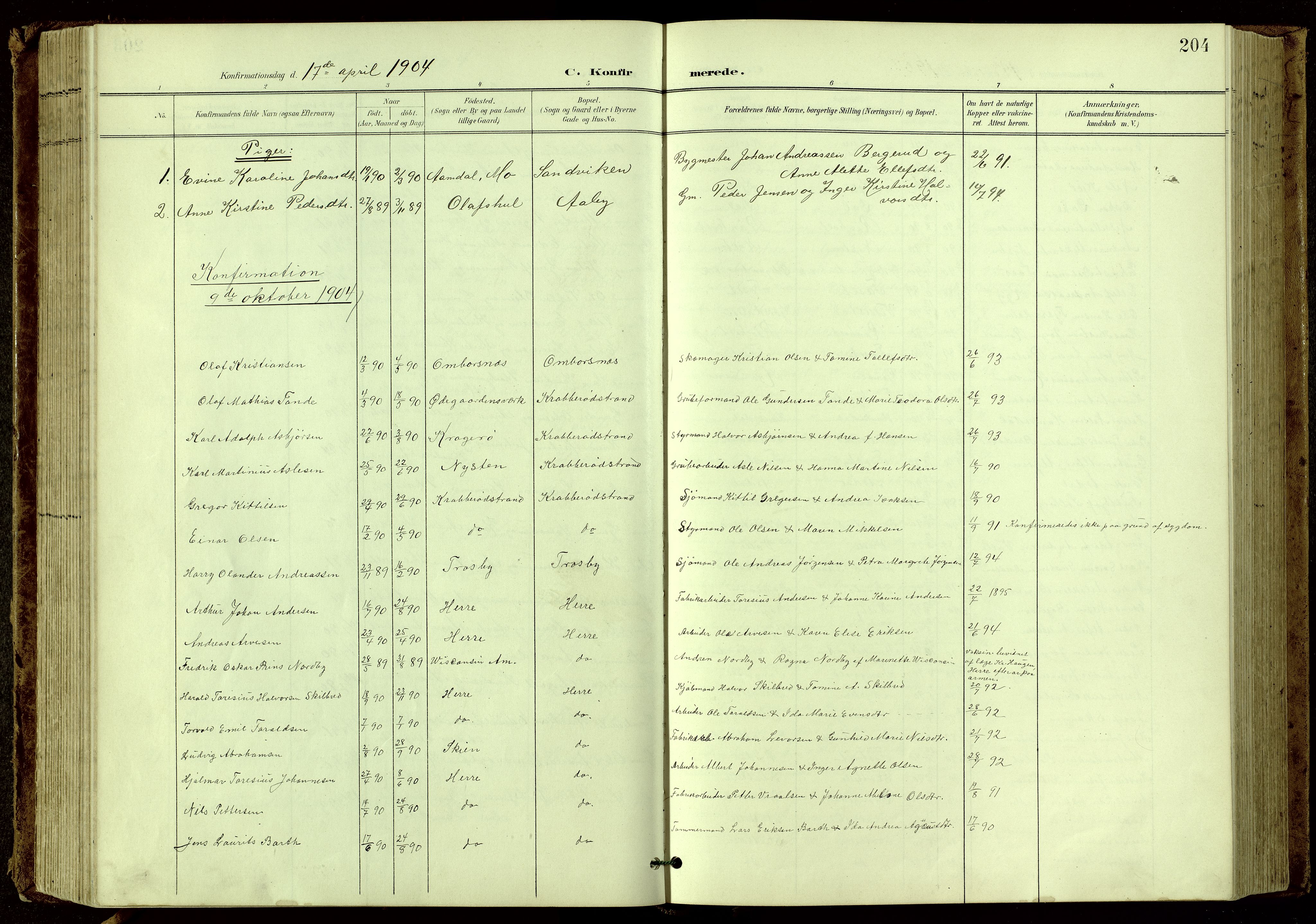 Bamble kirkebøker, SAKO/A-253/G/Ga/L0010: Parish register (copy) no. I 10, 1901-1919, p. 204
