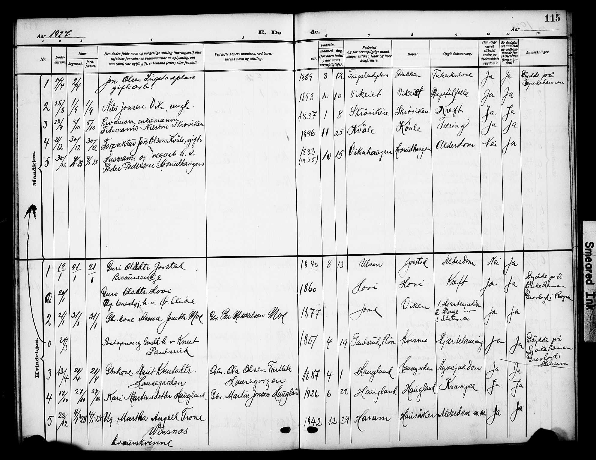 Vestre Slidre prestekontor, SAH/PREST-136/H/Ha/Hab/L0007: Parish register (copy) no. 7, 1909-1930, p. 115