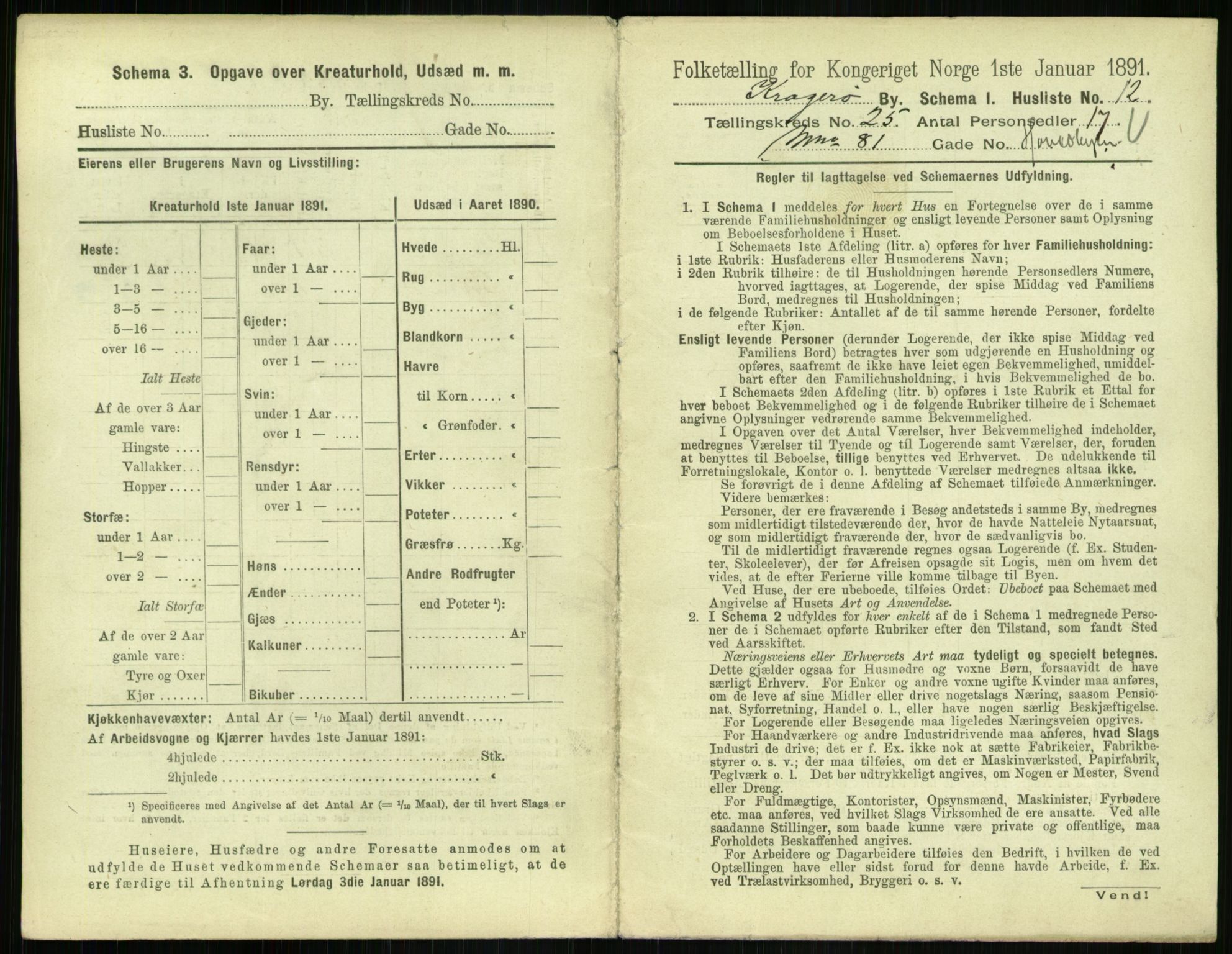 RA, 1891 census for 0801 Kragerø, 1891, p. 952