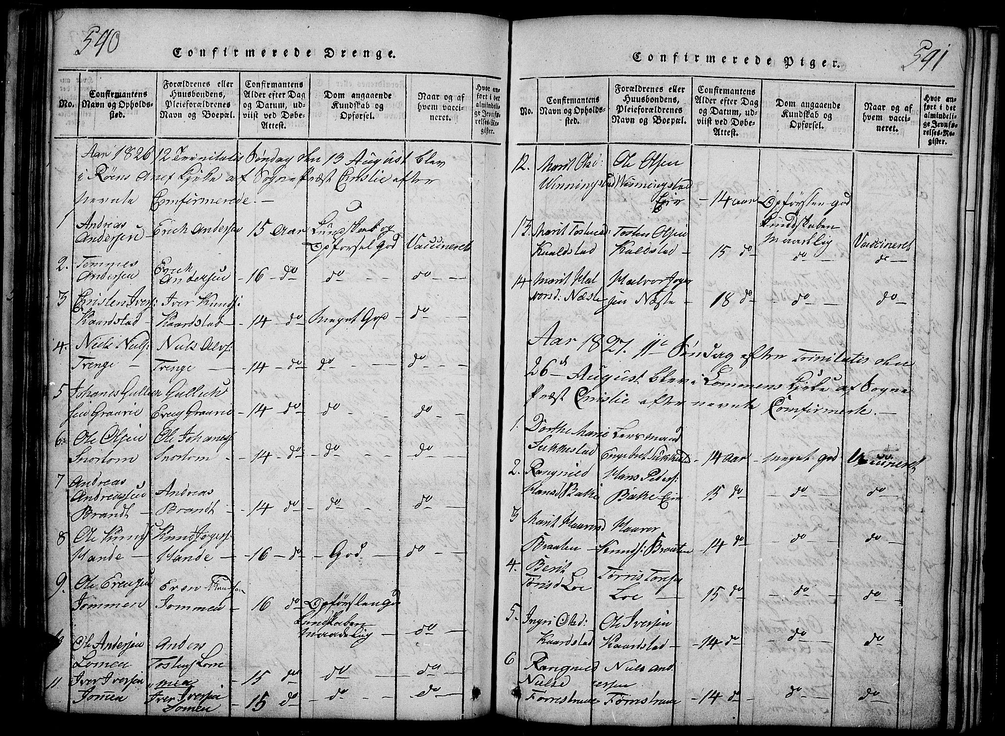 Slidre prestekontor, SAH/PREST-134/H/Ha/Haa/L0002: Parish register (official) no. 2, 1814-1830, p. 540-541