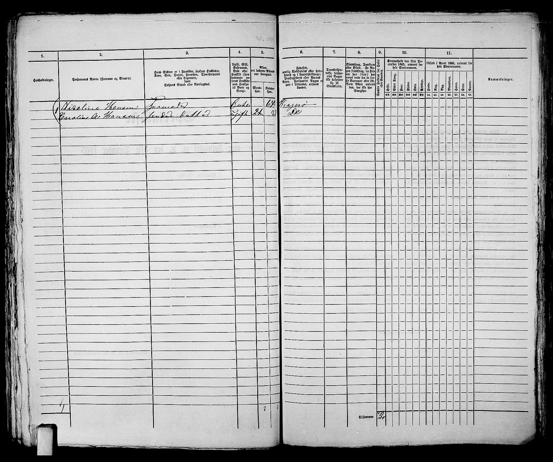 RA, 1865 census for Kragerø/Kragerø, 1865, p. 507