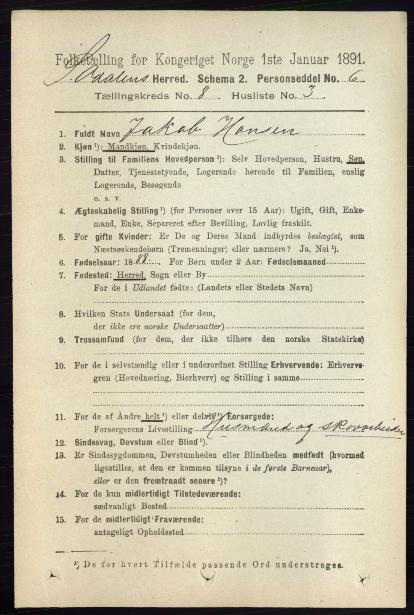 RA, 1891 census for 0419 Sør-Odal, 1891, p. 3992