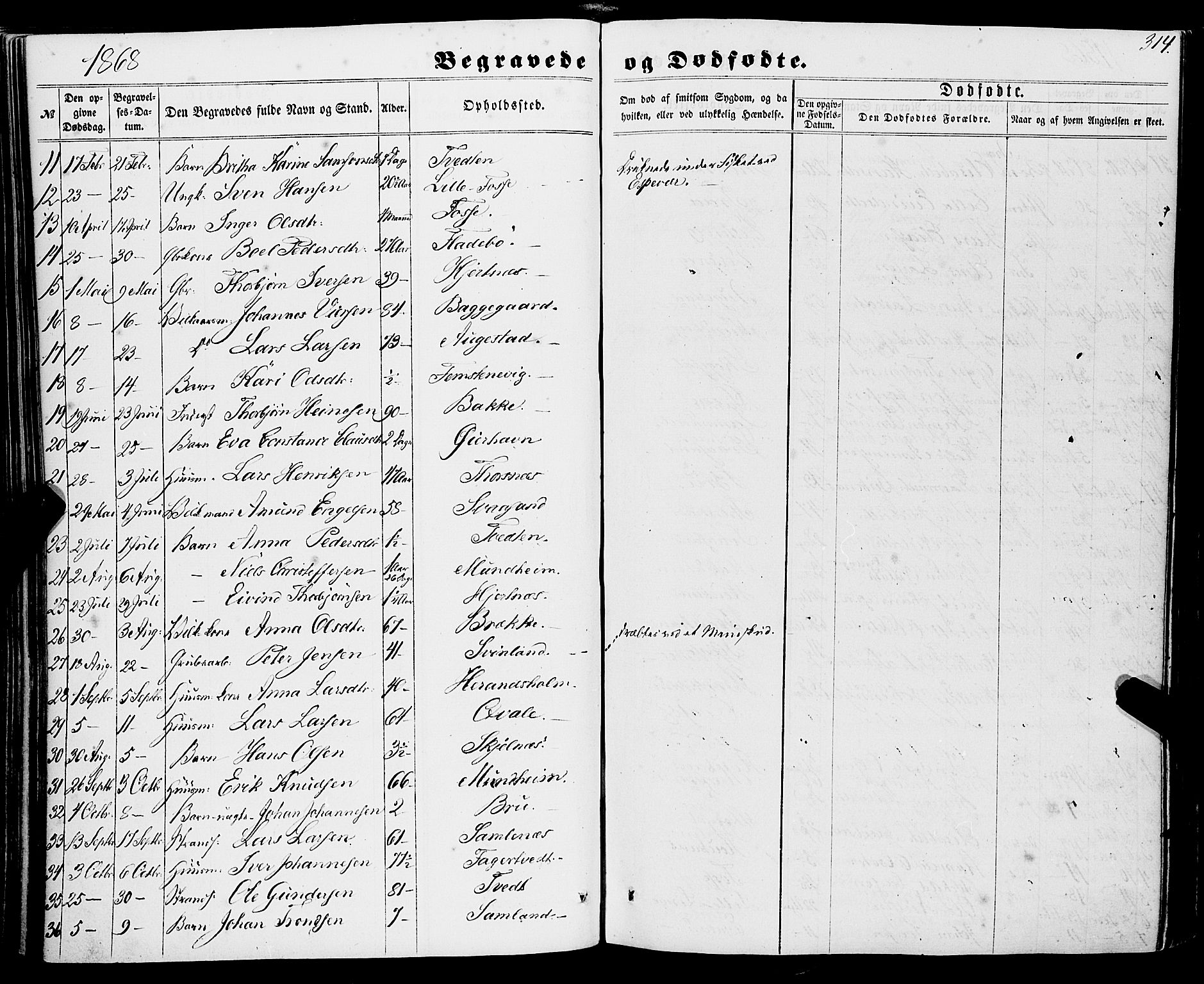 Strandebarm sokneprestembete, AV/SAB-A-78401/H/Haa: Parish register (official) no. A 8, 1858-1872, p. 314