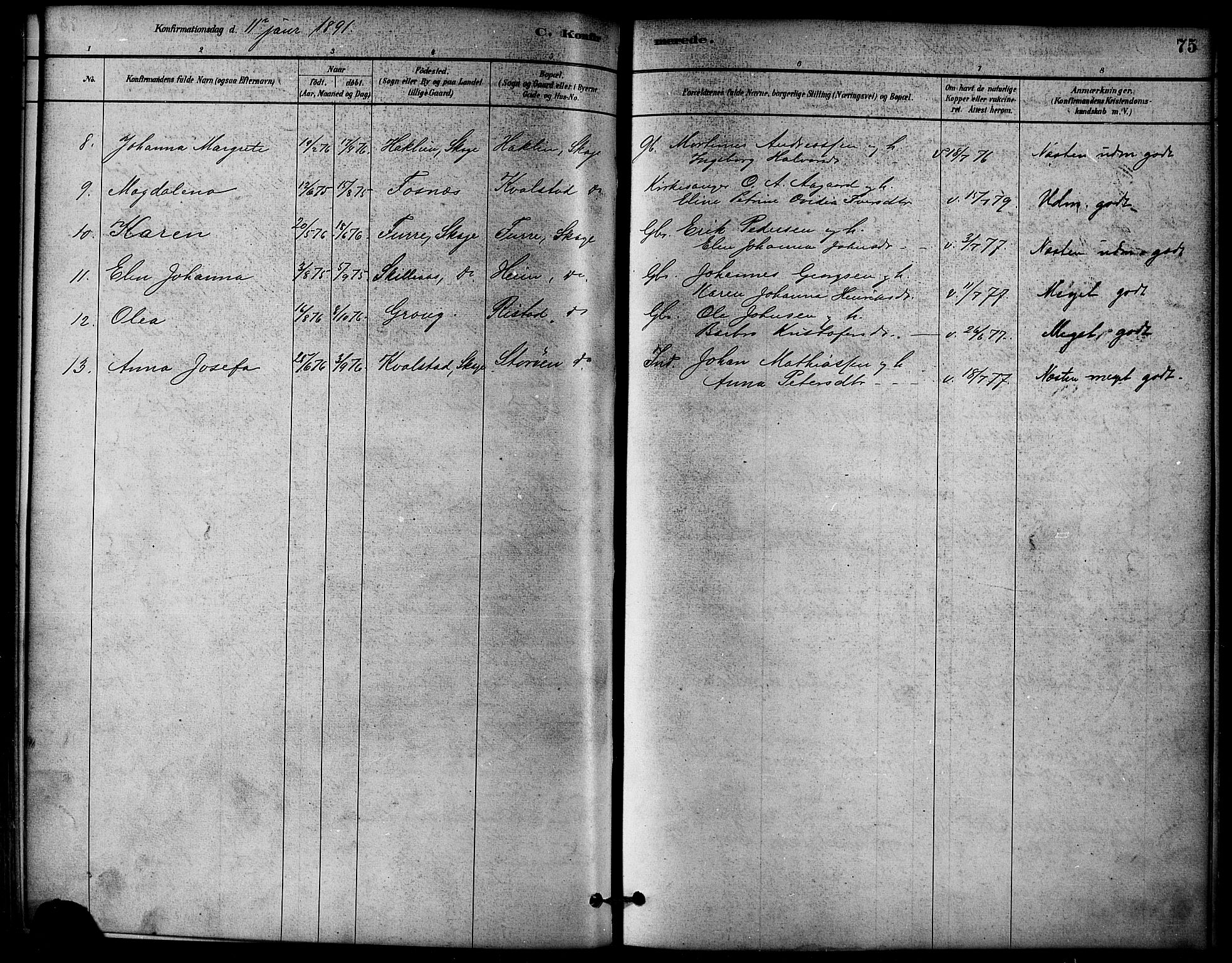 Ministerialprotokoller, klokkerbøker og fødselsregistre - Nord-Trøndelag, SAT/A-1458/766/L0563: Parish register (official) no. 767A01, 1881-1899, p. 75