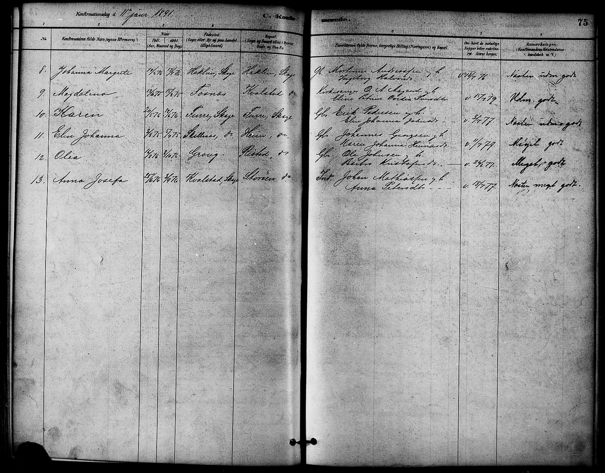 Ministerialprotokoller, klokkerbøker og fødselsregistre - Nord-Trøndelag, AV/SAT-A-1458/766/L0563: Parish register (official) no. 767A01, 1881-1899, p. 75