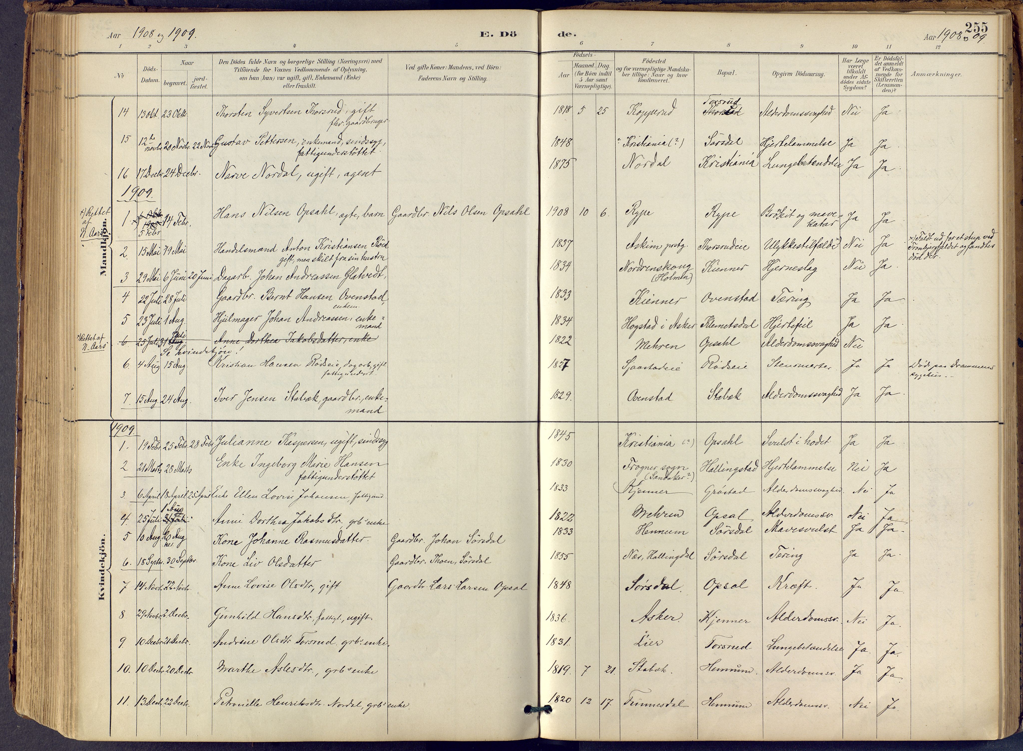 Lier kirkebøker, SAKO/A-230/F/Fb/L0001: Parish register (official) no. II 1, 1883-1910, p. 255