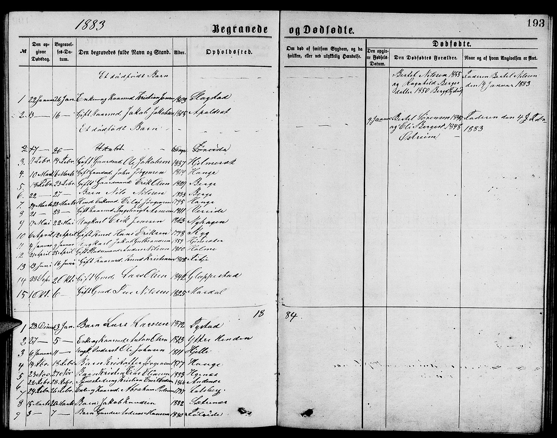 Gloppen sokneprestembete, SAB/A-80101/H/Hab/Habb/L0001: Parish register (copy) no. B 1, 1872-1888, p. 193