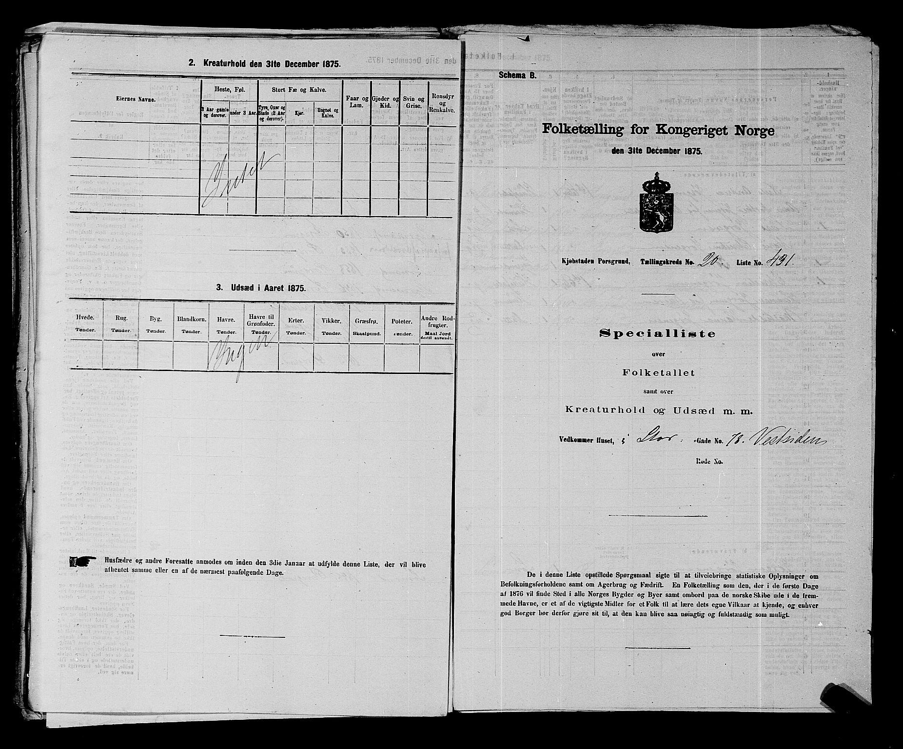 SAKO, 1875 census for 0805P Porsgrunn, 1875, p. 967