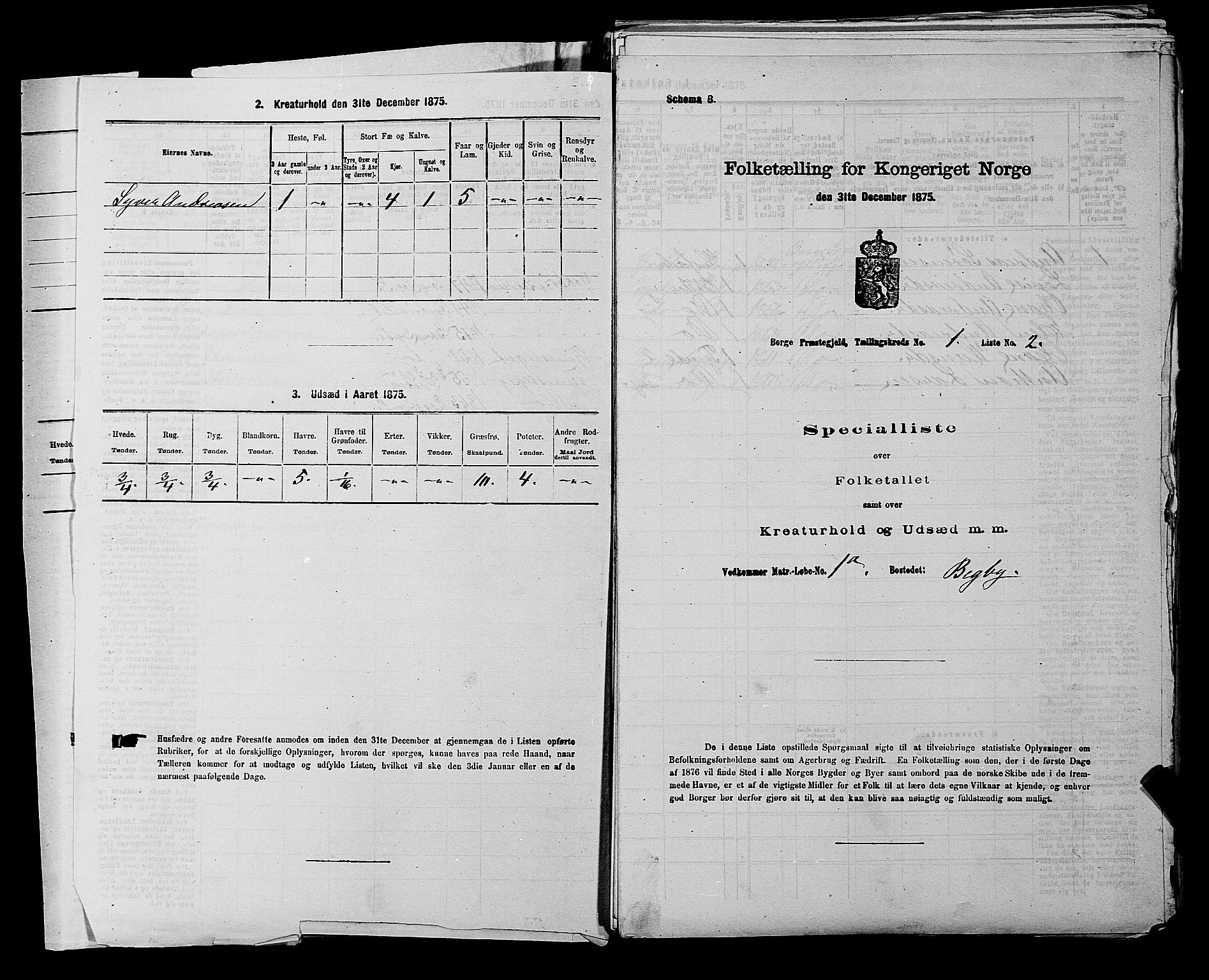 RA, 1875 census for 0113P Borge, 1875, p. 31