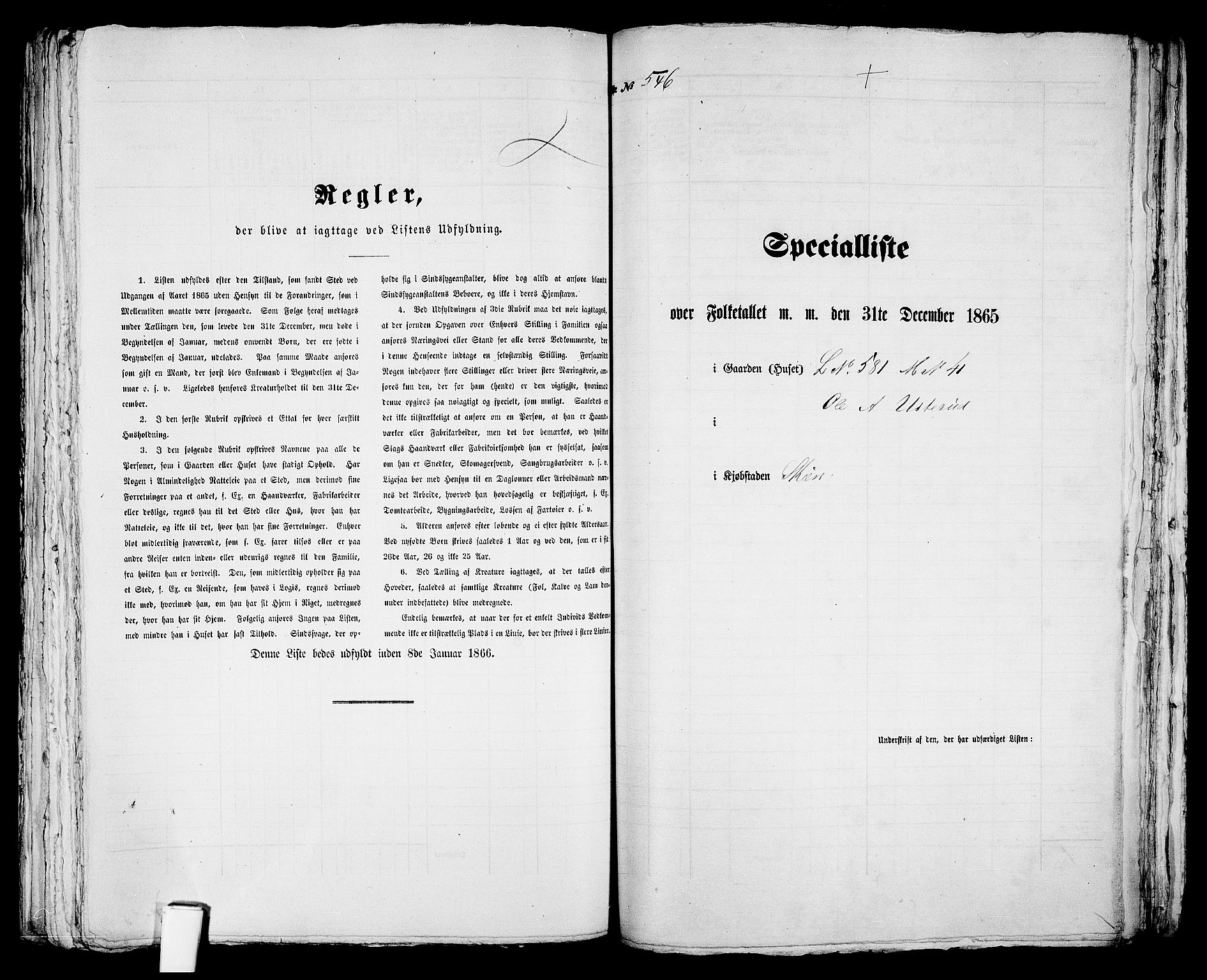 RA, 1865 census for Skien, 1865, p. 1117