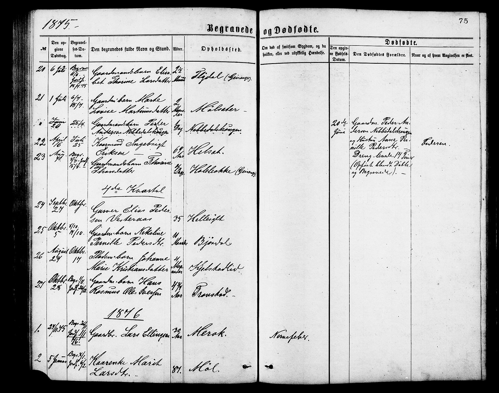 Ministerialprotokoller, klokkerbøker og fødselsregistre - Møre og Romsdal, SAT/A-1454/517/L0227: Parish register (official) no. 517A07, 1870-1886, p. 75