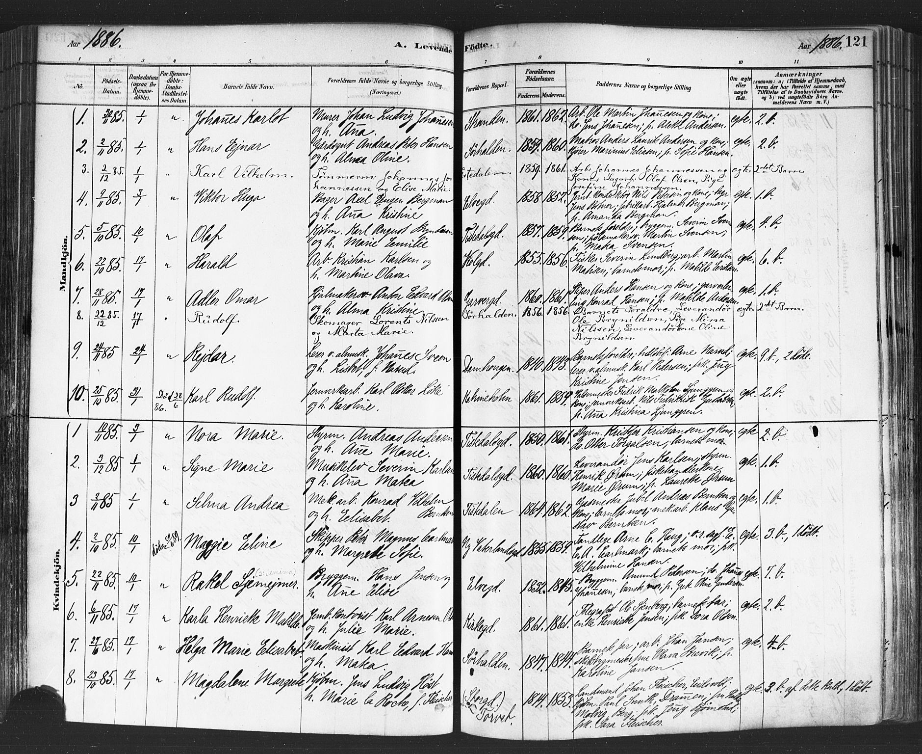 Halden prestekontor Kirkebøker, SAO/A-10909/F/Fa/L0011: Parish register (official) no. I 11, 1878-1889, p. 121