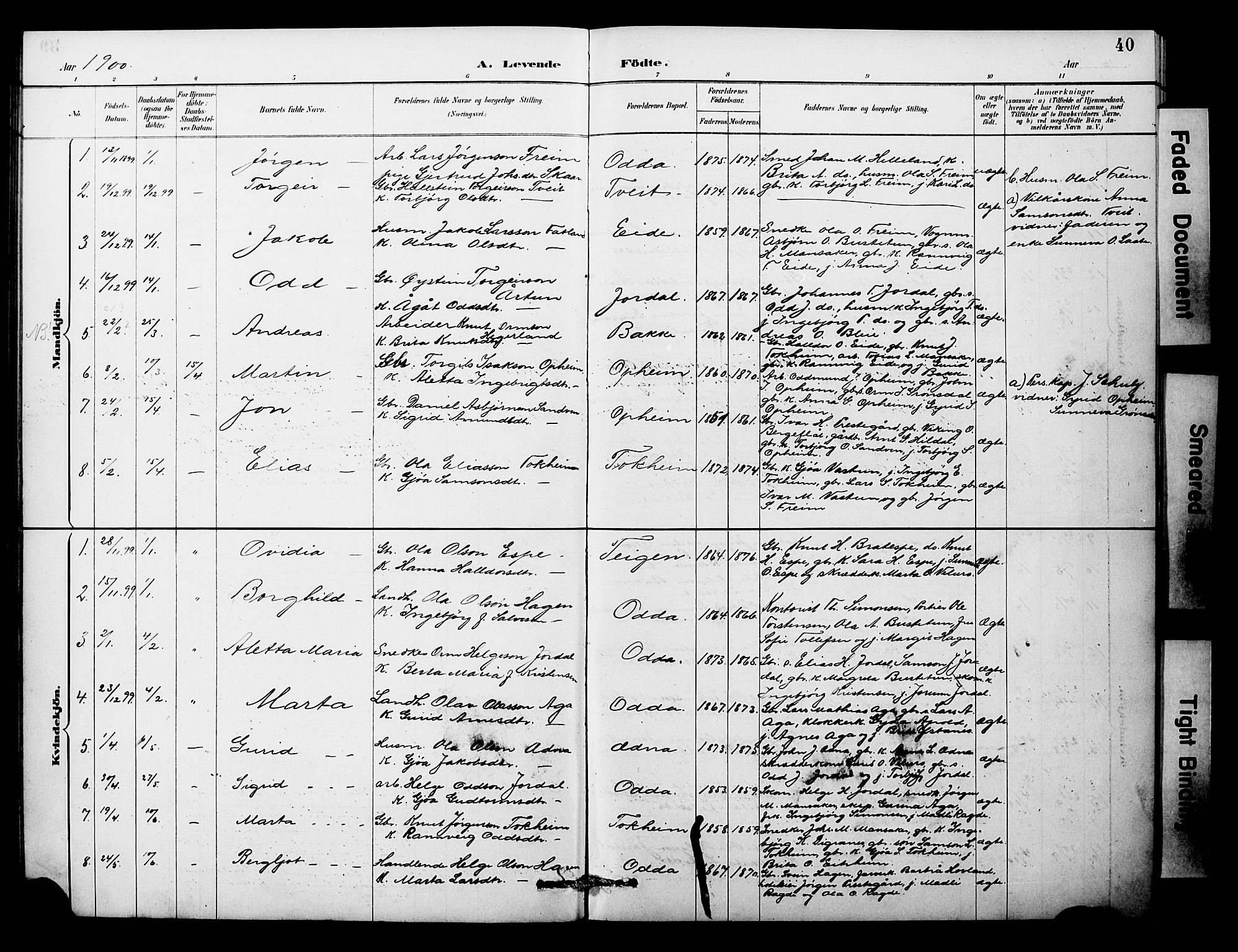 Odda Sokneprestembete, SAB/A-77201/H/Hab: Parish register (copy) no. A 7, 1887-1912, p. 40