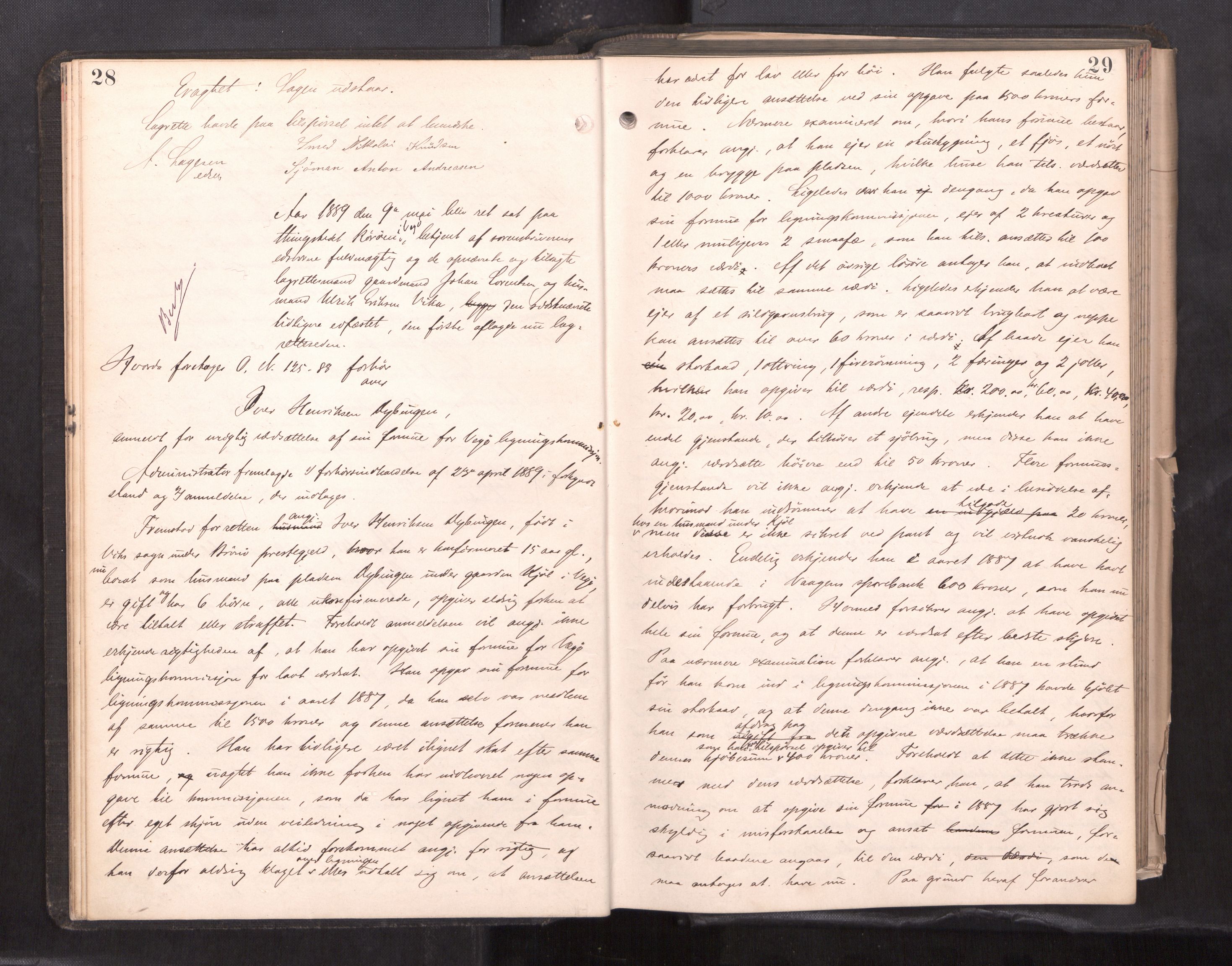 Søndre Helgeland sorenskriveri, AV/SAT-A-4575/1/1/1B/1Ba/L0018: ekstrarettsprotokoll, 1889-1893, p. 28-29