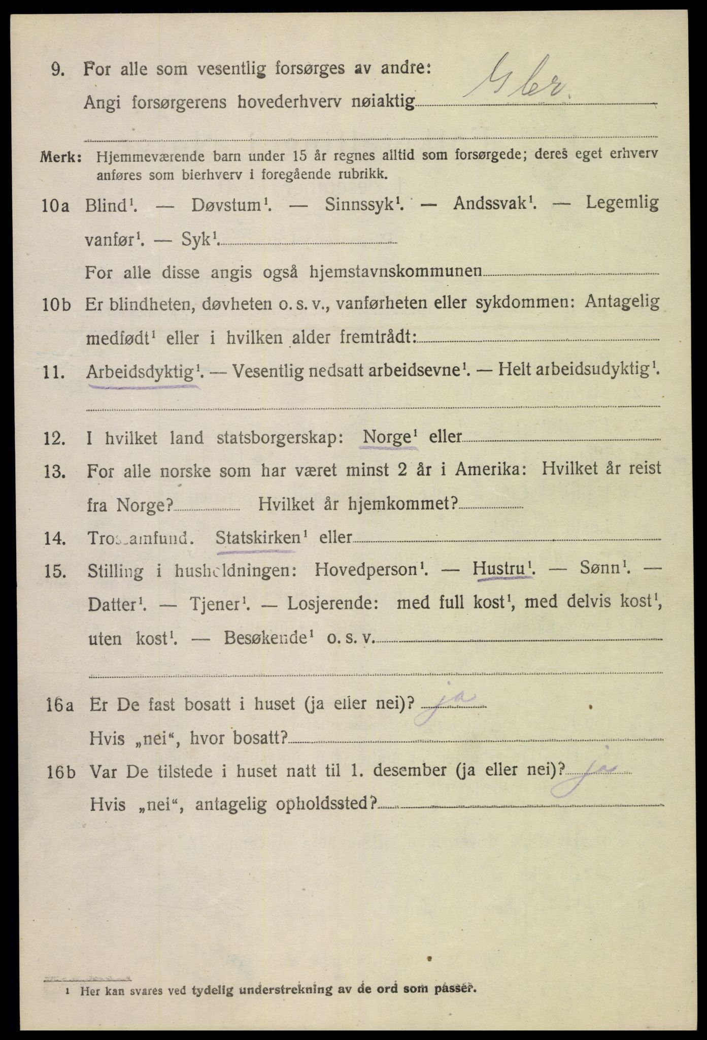 SAH, 1920 census for Dovre, 1920, p. 4545