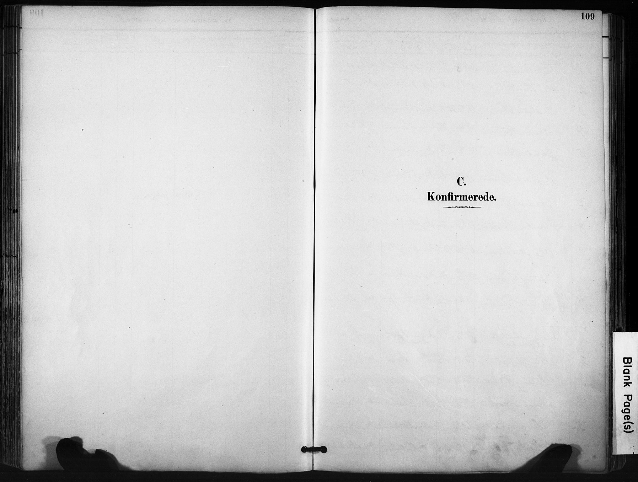 Evje sokneprestkontor, AV/SAK-1111-0008/F/Fa/Fab/L0003: Parish register (official) no. A 3, 1884-1909, p. 109