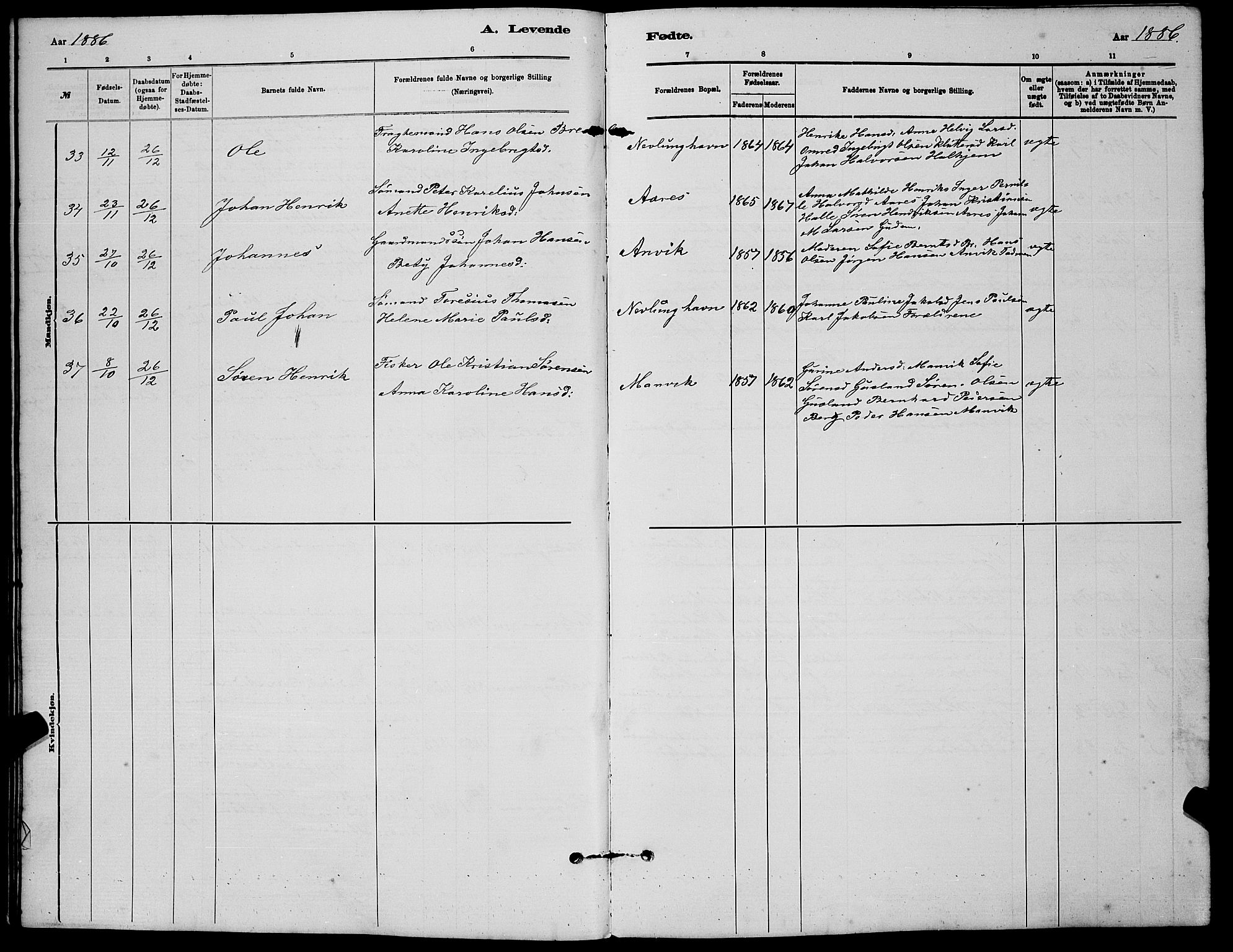 Brunlanes kirkebøker, AV/SAKO-A-342/G/Gb/L0002: Parish register (copy) no. II 2, 1878-1902