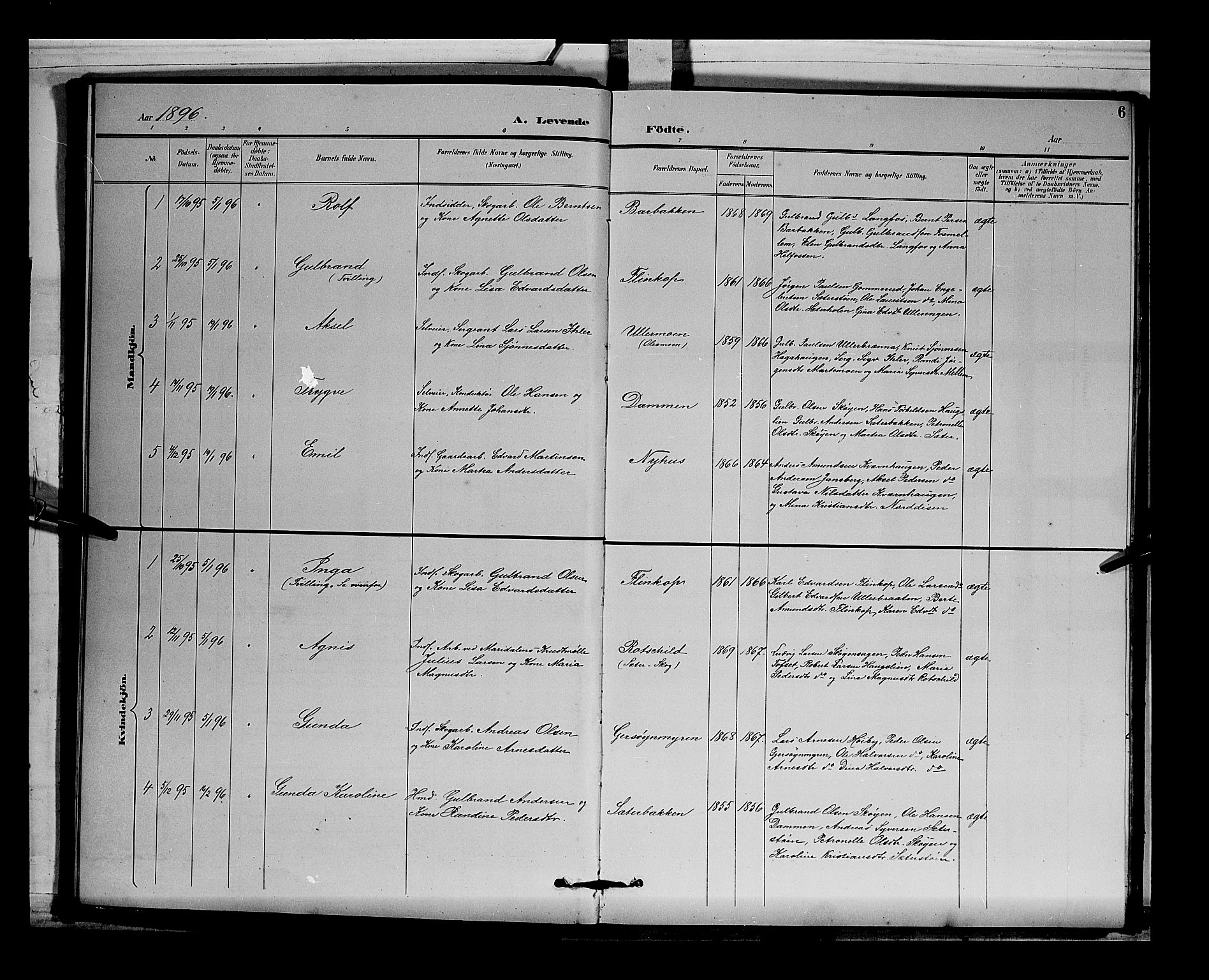 Sør-Odal prestekontor, AV/SAH-PREST-030/H/Ha/Hab/L0004: Parish register (copy) no. 4, 1895-1906, p. 6