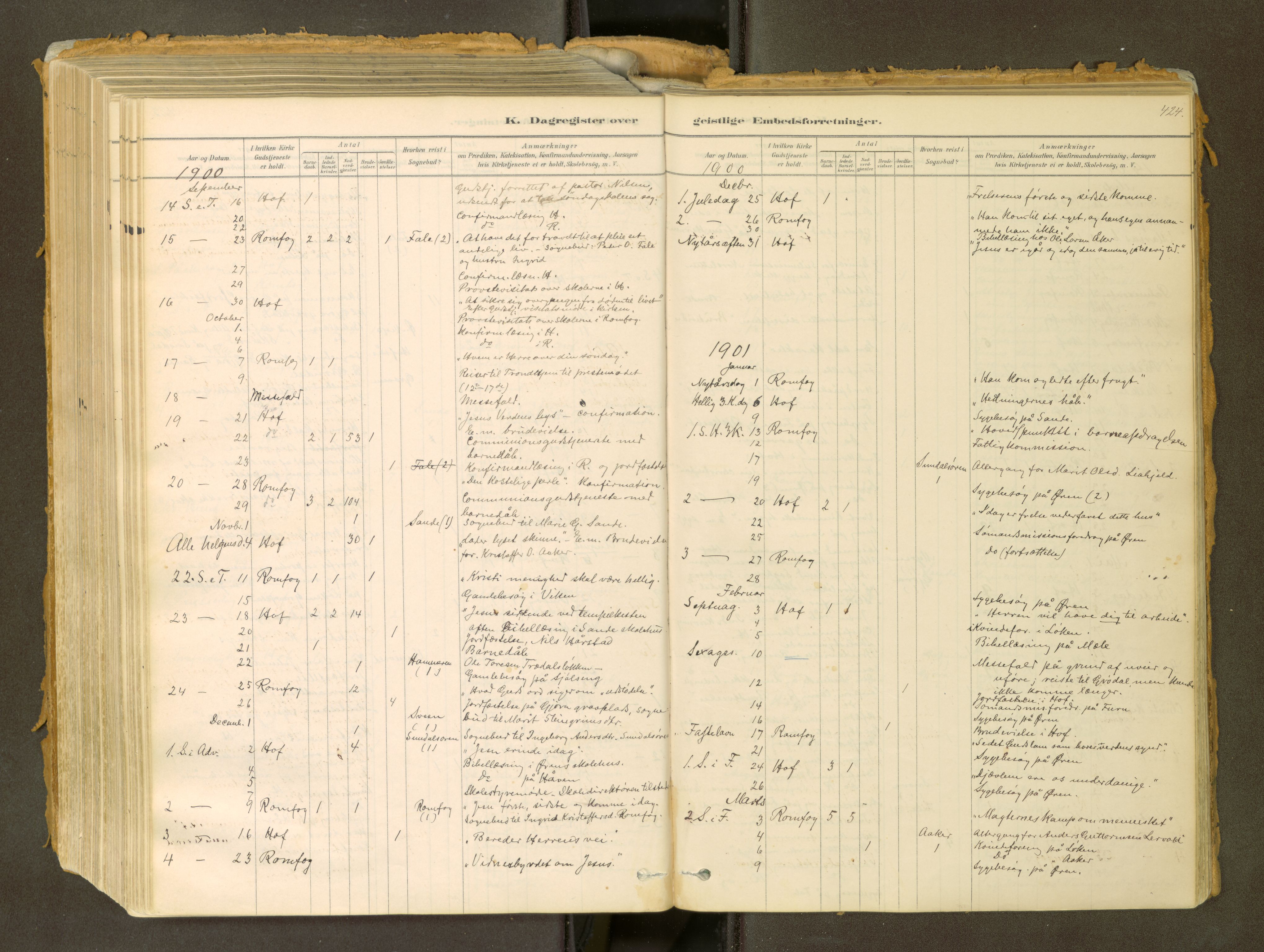 Sunndal sokneprestkontor, SAT/A-1085/1/I/I1/I1a: Parish register (official) no. 2, 1877-1914, p. 424