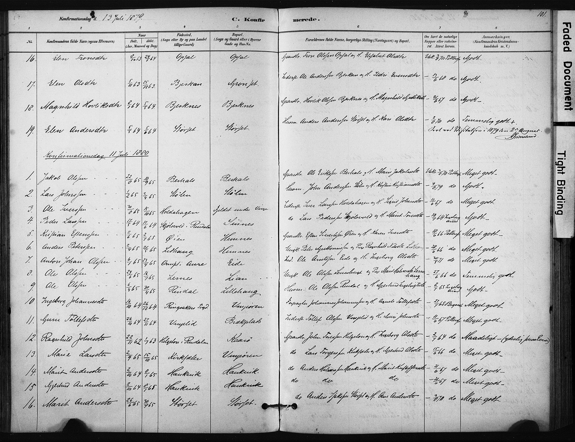 Ministerialprotokoller, klokkerbøker og fødselsregistre - Sør-Trøndelag, SAT/A-1456/631/L0512: Parish register (official) no. 631A01, 1879-1912, p. 101
