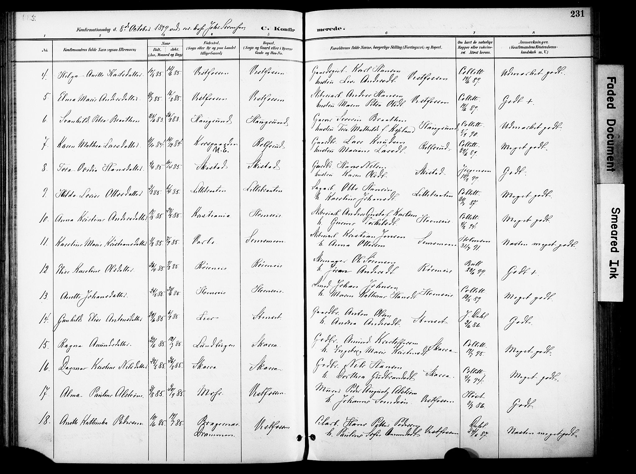 Eiker kirkebøker, SAKO/A-4/F/Fb/L0003: Parish register (official) no. II 3, 1896-1942, p. 231