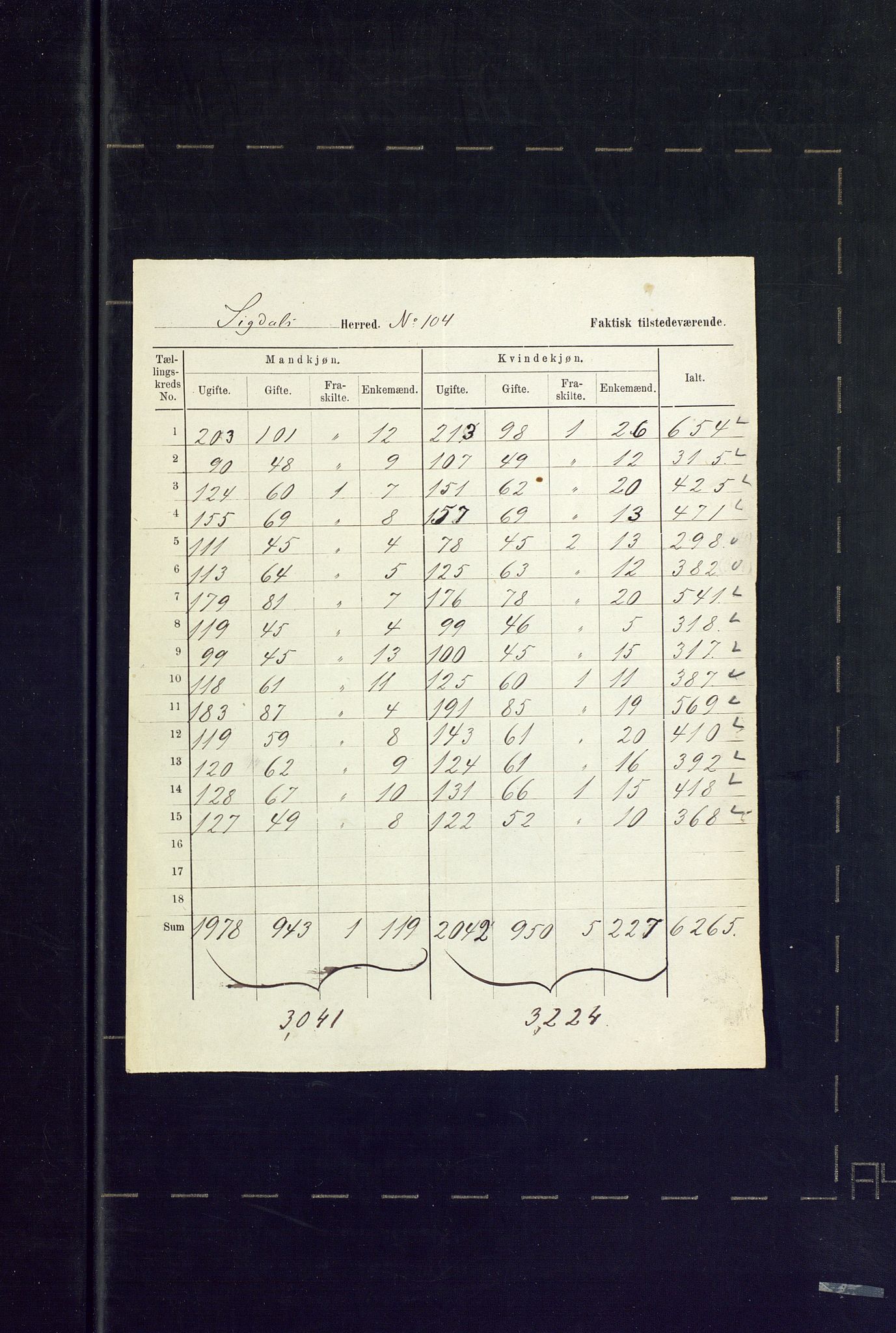 SAKO, 1875 census for 0621P Sigdal, 1875, p. 74