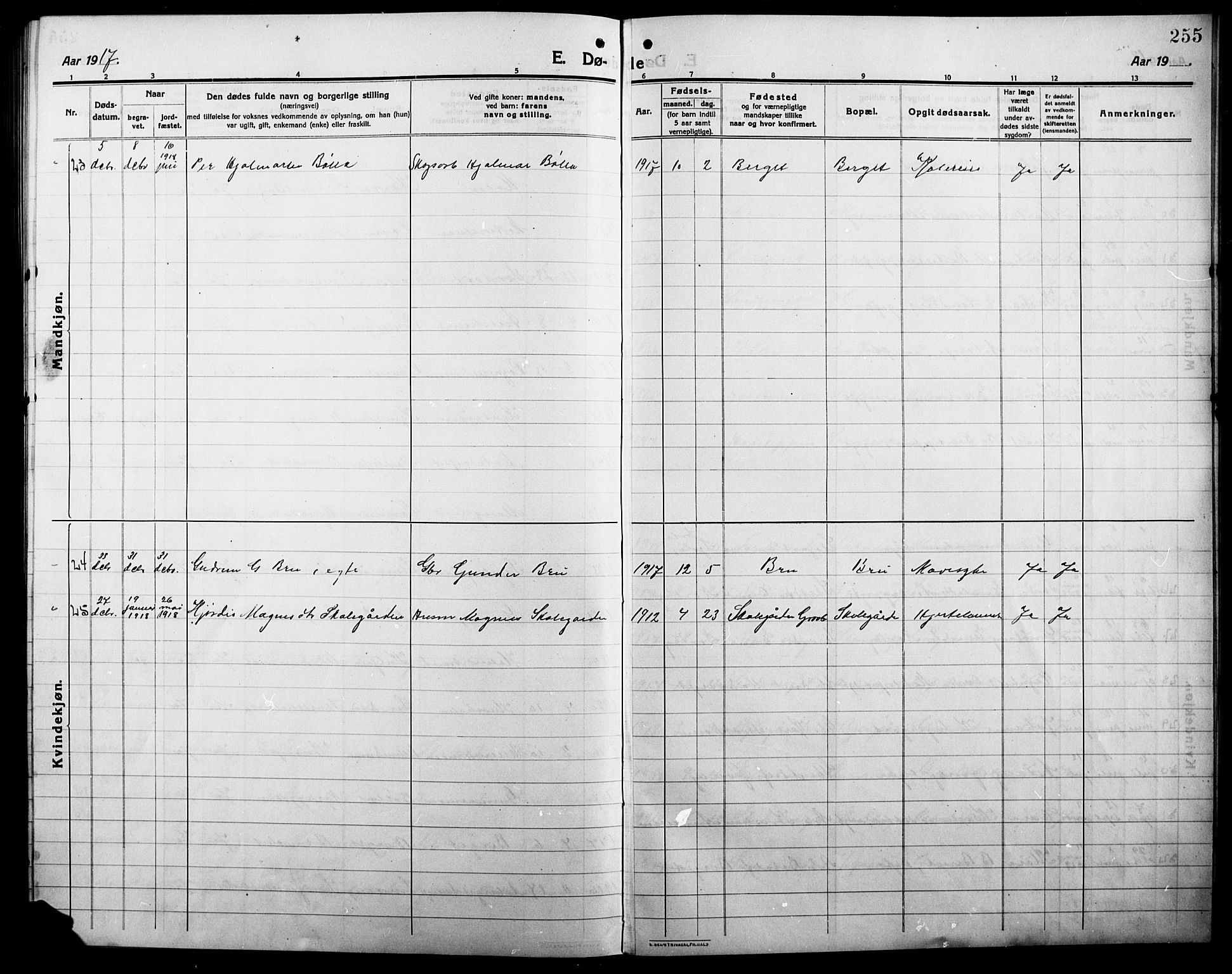 Våler prestekontor, Hedmark, AV/SAH-PREST-040/H/Ha/Hab/L0003: Parish register (copy) no. 3, 1914-1921, p. 255