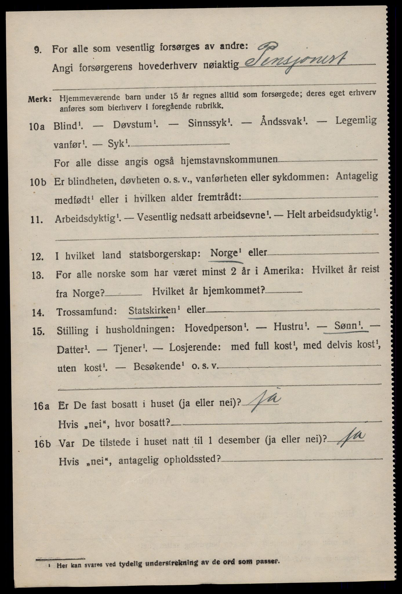 SAKO, 1920 census for Nissedal, 1920, p. 4386