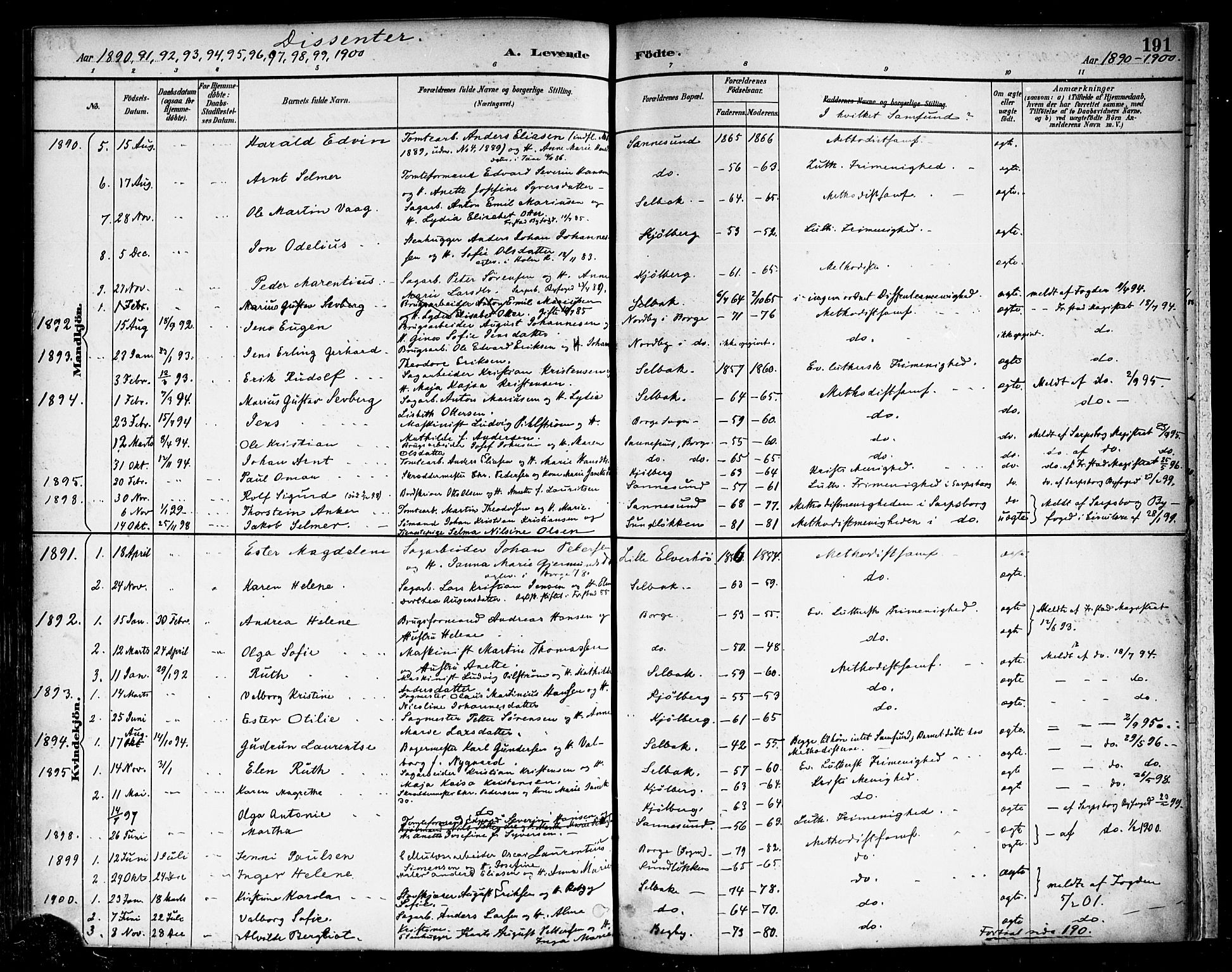 Borge prestekontor Kirkebøker, SAO/A-10903/F/Fa/L0008: Parish register (official) no. I 8A, 1887-1902, p. 191
