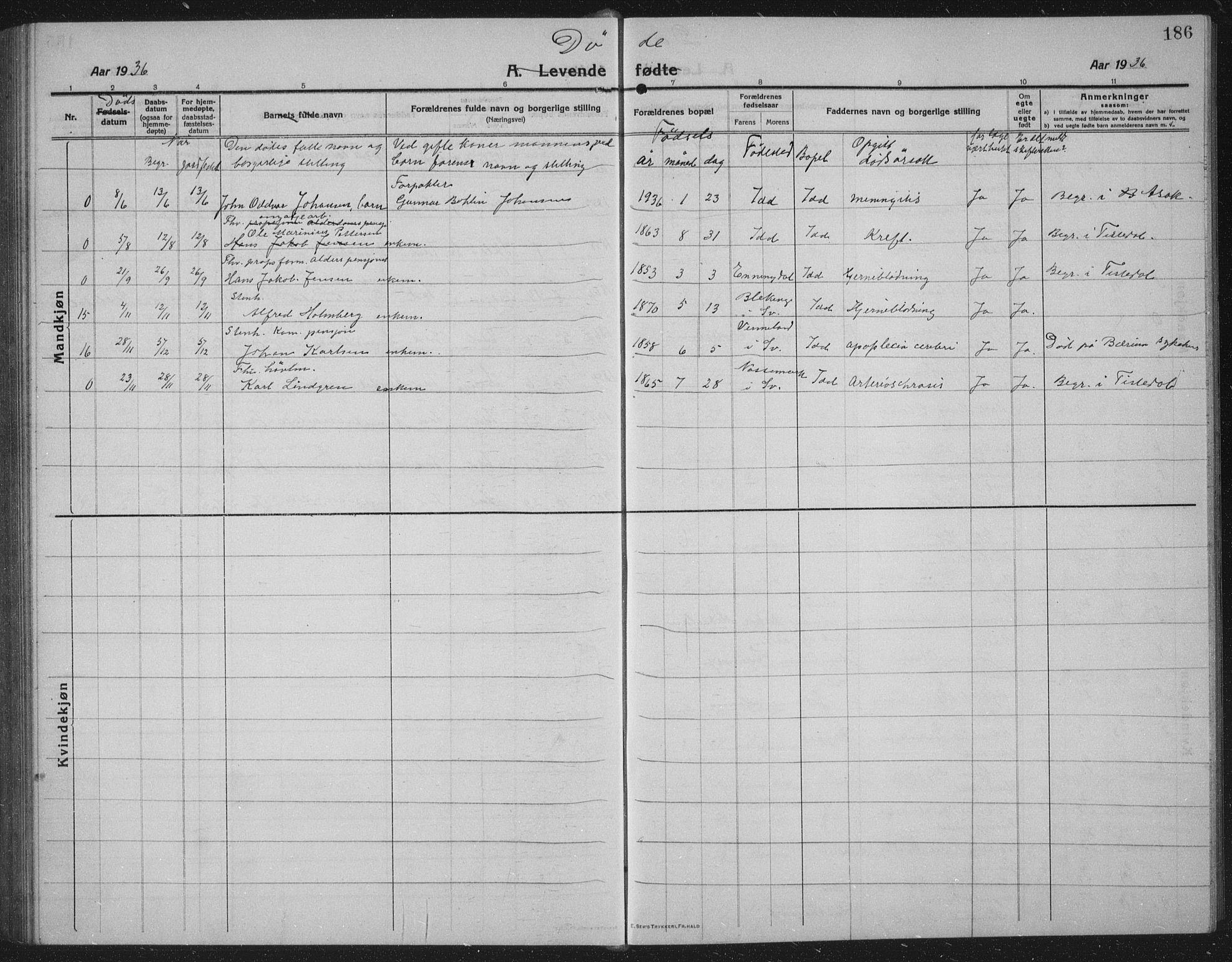 Idd prestekontor Kirkebøker, SAO/A-10911/G/Gb/L0003: Parish register (copy) no. II 3, 1914-1940, p. 186