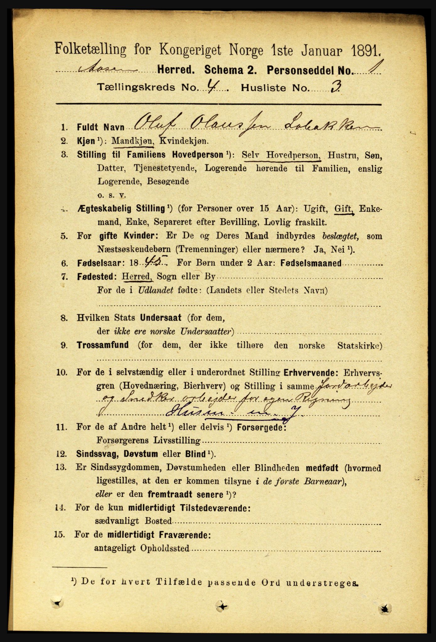 RA, 1891 census for 1716 Åsen, 1891, p. 1427