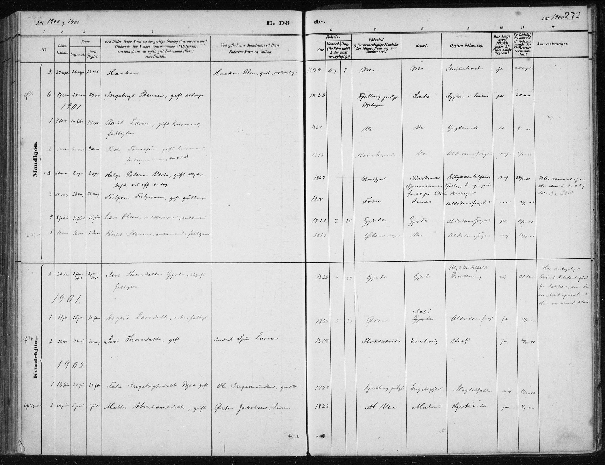 Etne sokneprestembete, SAB/A-75001/H/Haa: Parish register (official) no. C  1, 1879-1919, p. 272