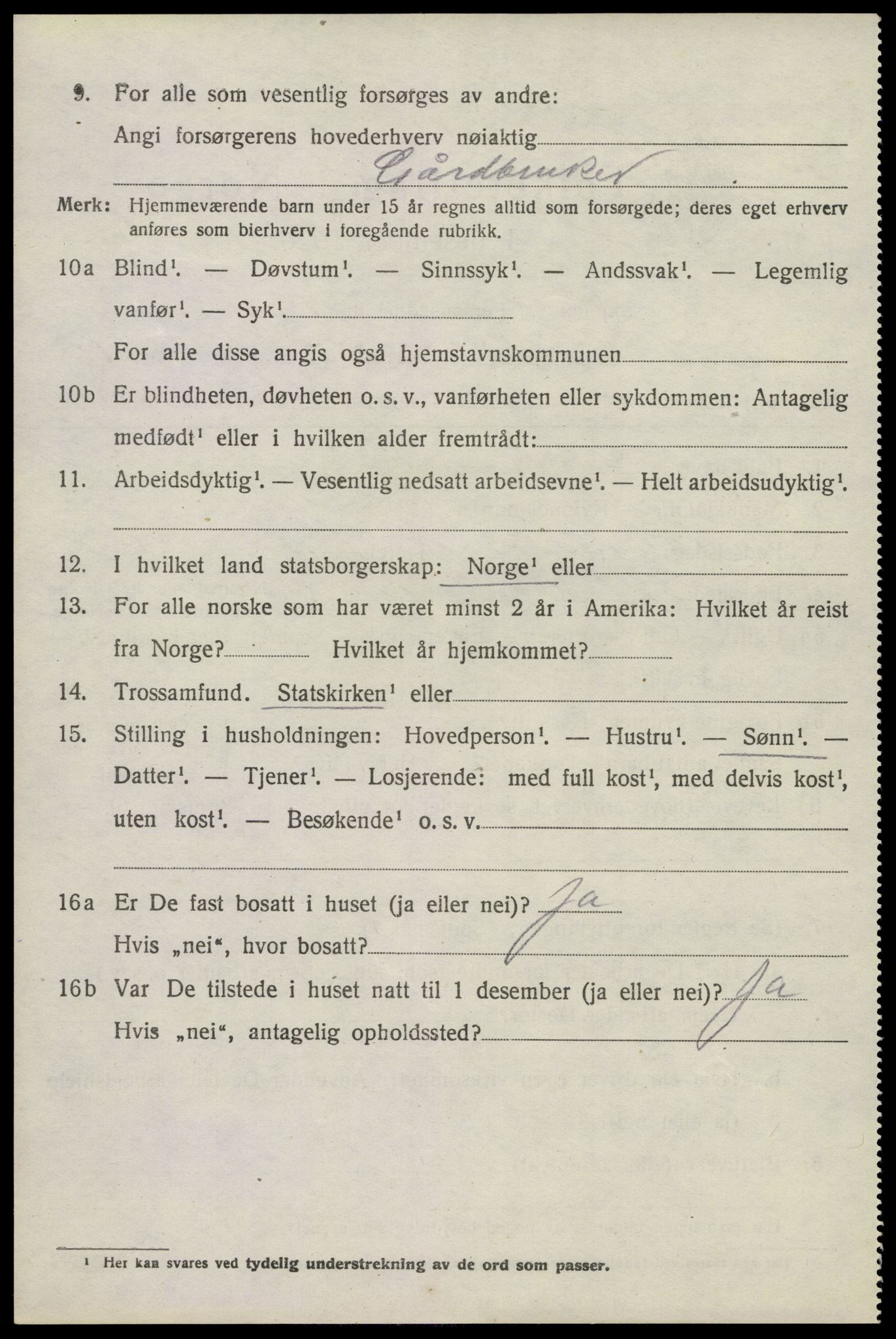 SAKO, 1920 census for Brunlanes, 1920, p. 10474