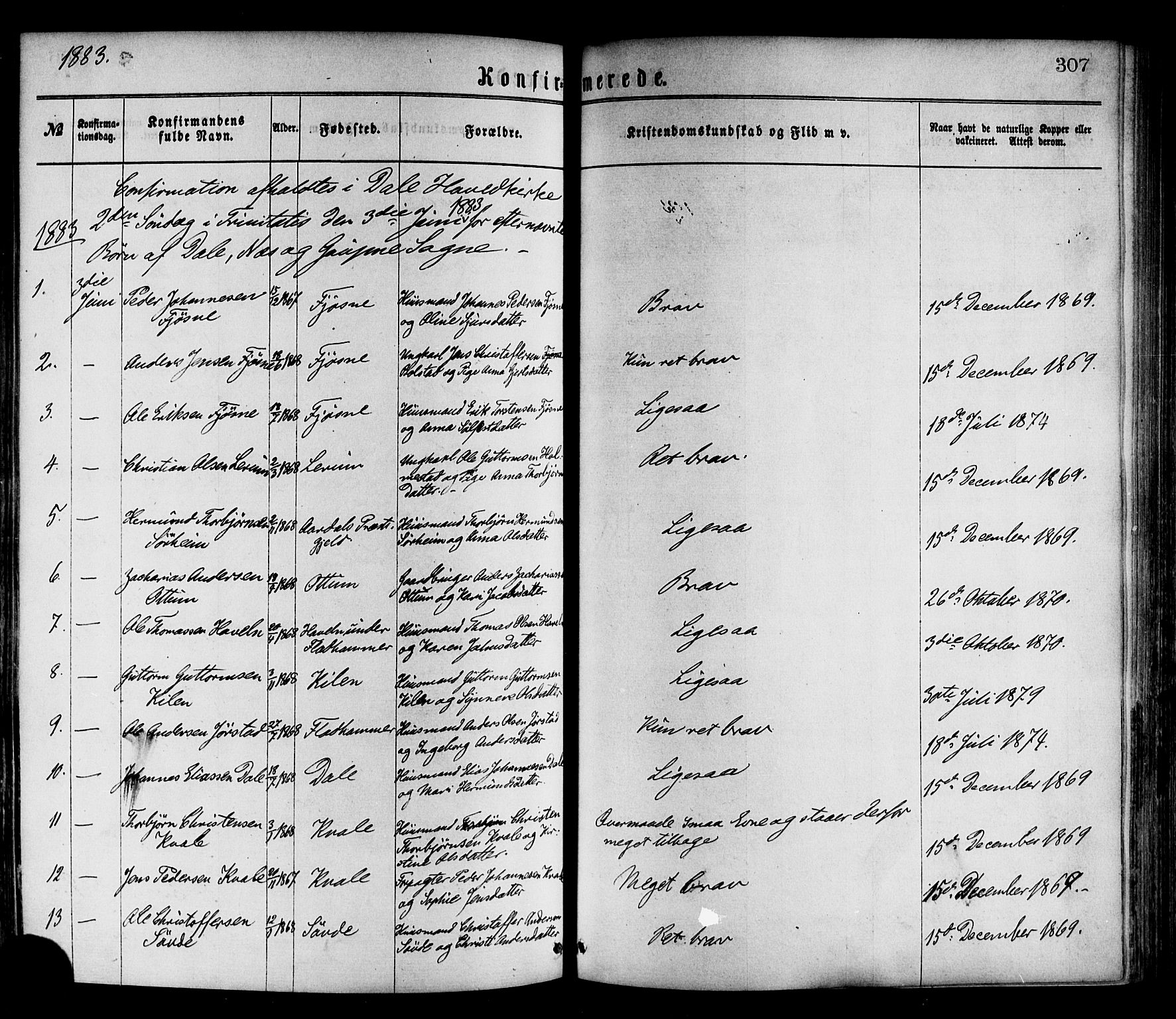Luster sokneprestembete, SAB/A-81101/H/Haa/Haaa/L0010: Parish register (official) no. A 10, 1871-1886, p. 307
