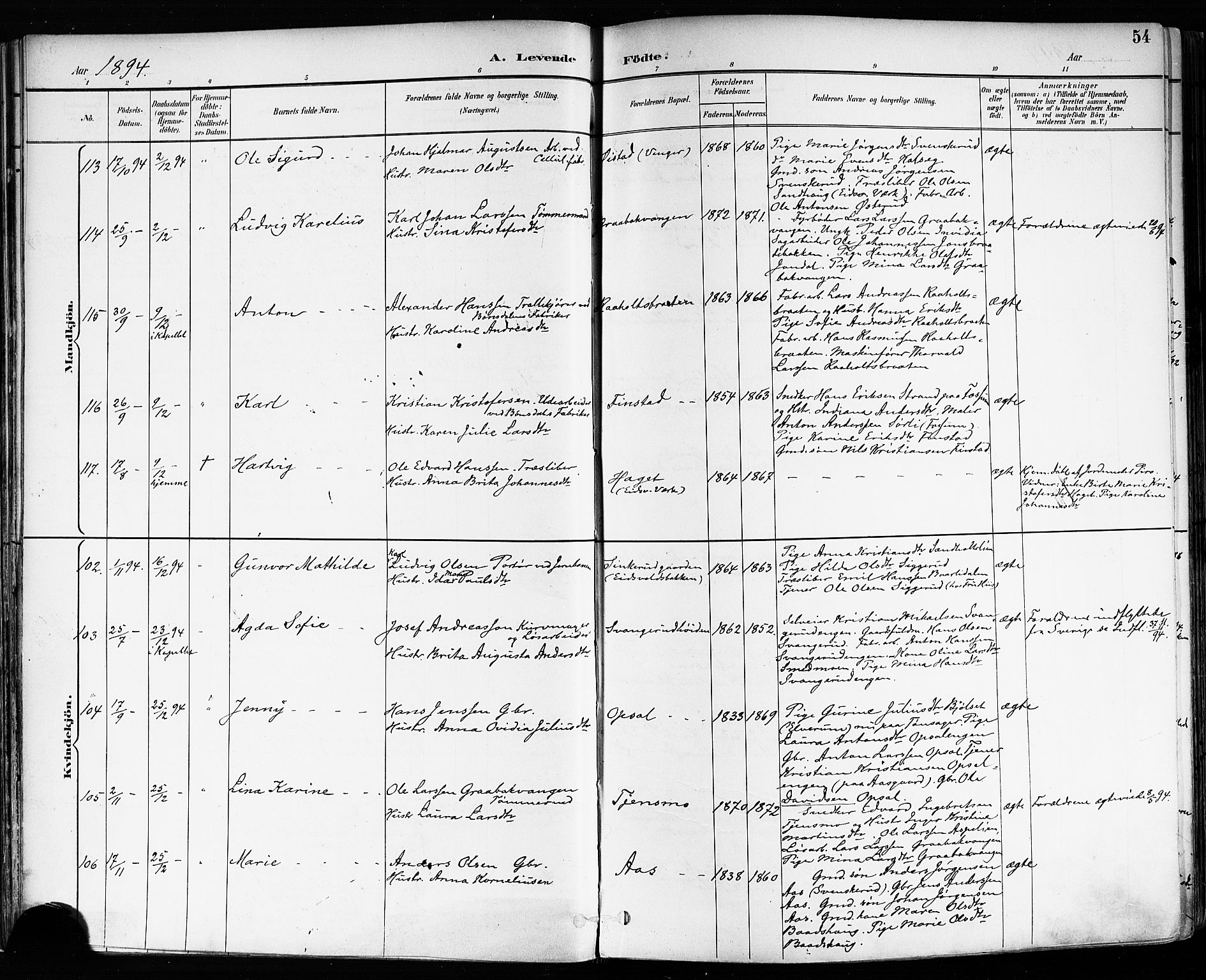 Eidsvoll prestekontor Kirkebøker, AV/SAO-A-10888/F/Fa/L0004: Parish register (official) no. I 4, 1891-1900, p. 54