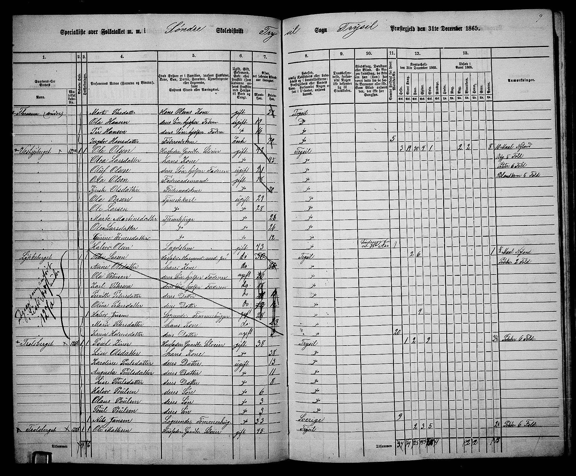 RA, 1865 census for Trysil, 1865, p. 100