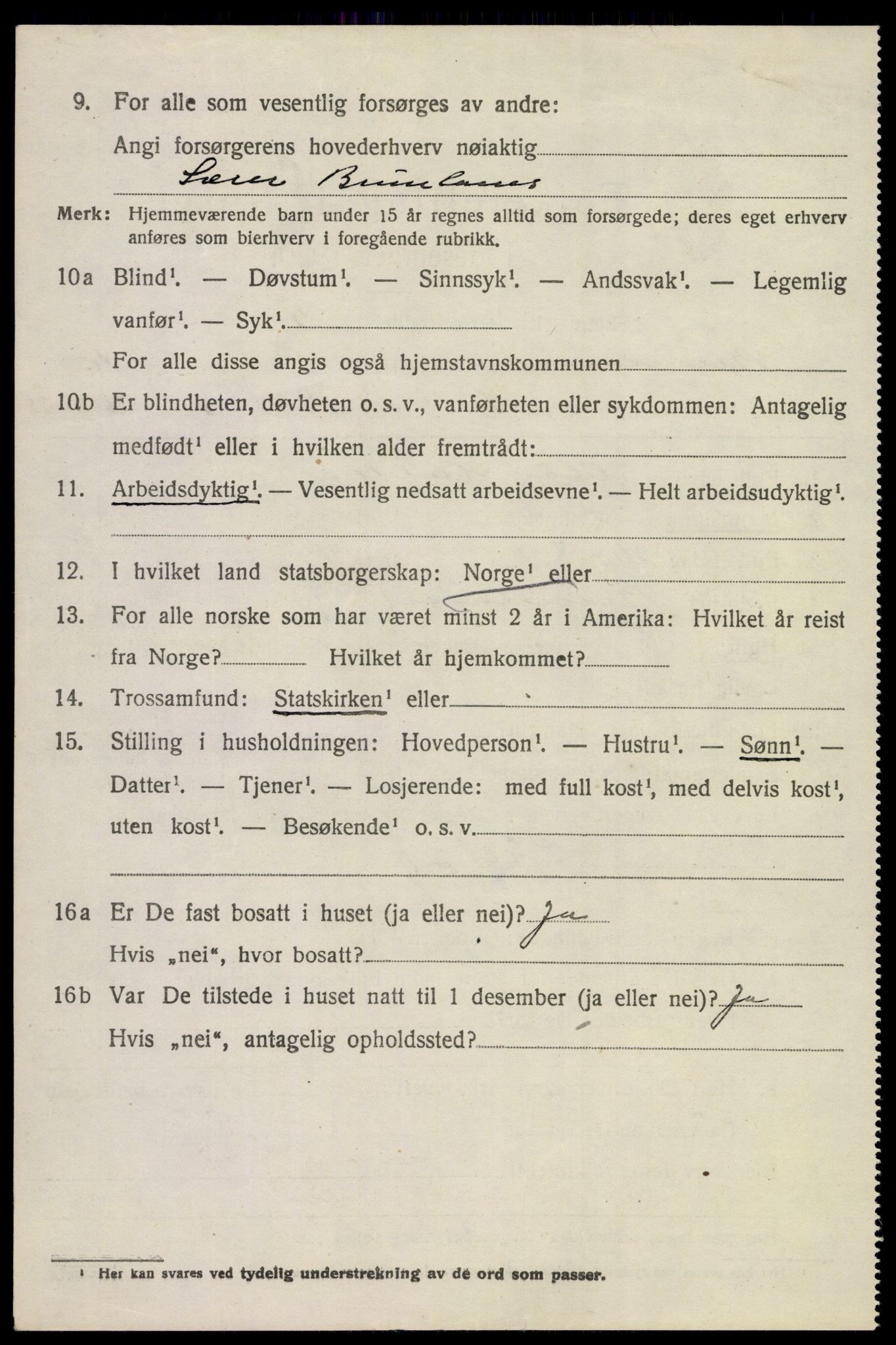 SAKO, 1920 census for Brunlanes, 1920, p. 8616