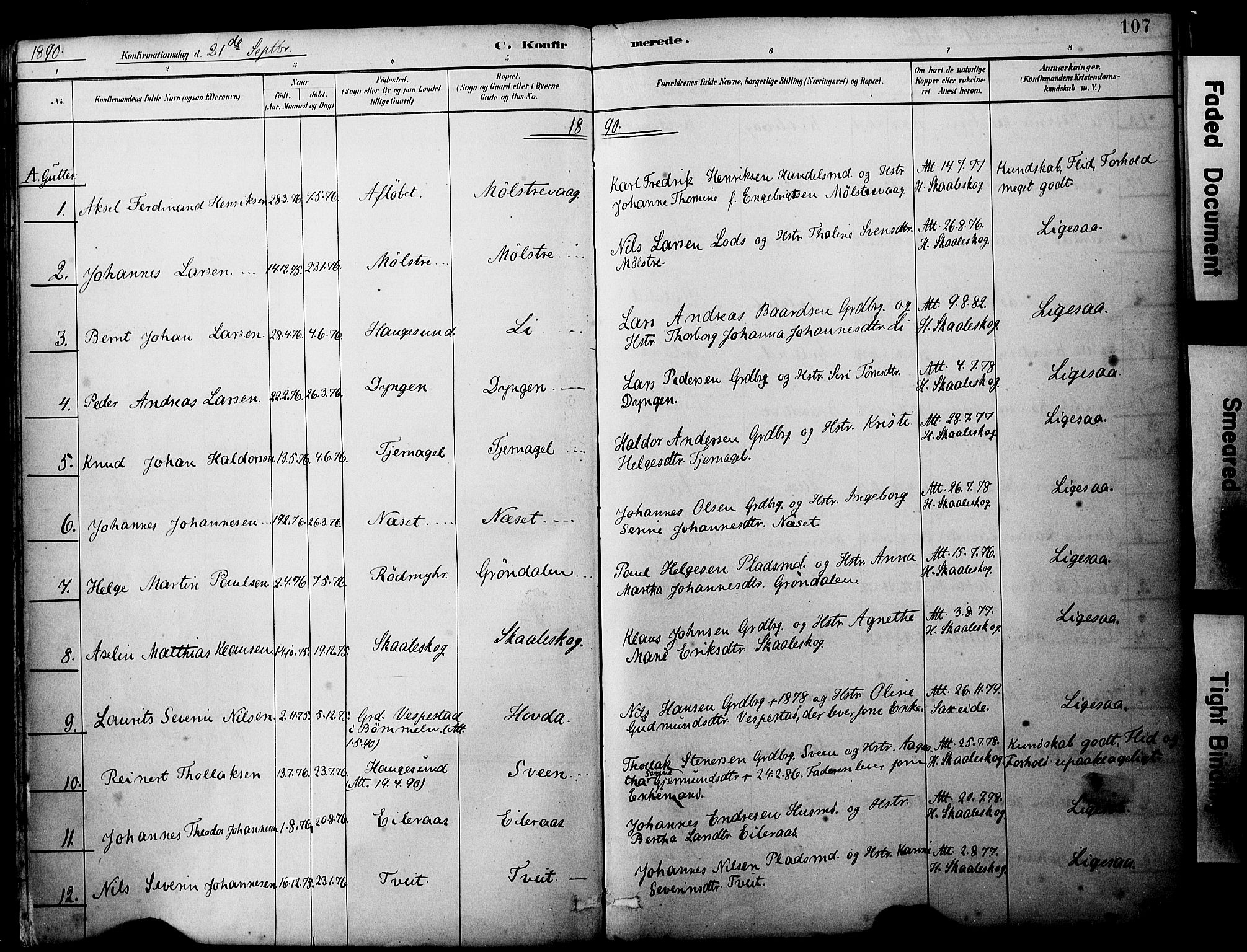 Sveio Sokneprestembete, SAB/A-78501/H/Haa: Parish register (official) no. B 2, 1883-1894, p. 107