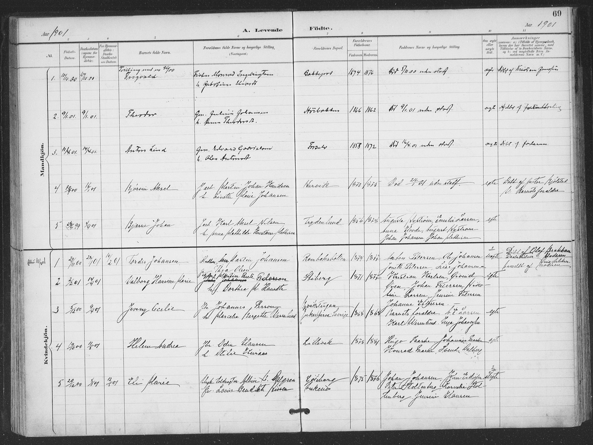 Ministerialprotokoller, klokkerbøker og fødselsregistre - Nordland, SAT/A-1459/866/L0939: Parish register (official) no. 866A02, 1894-1906, p. 69