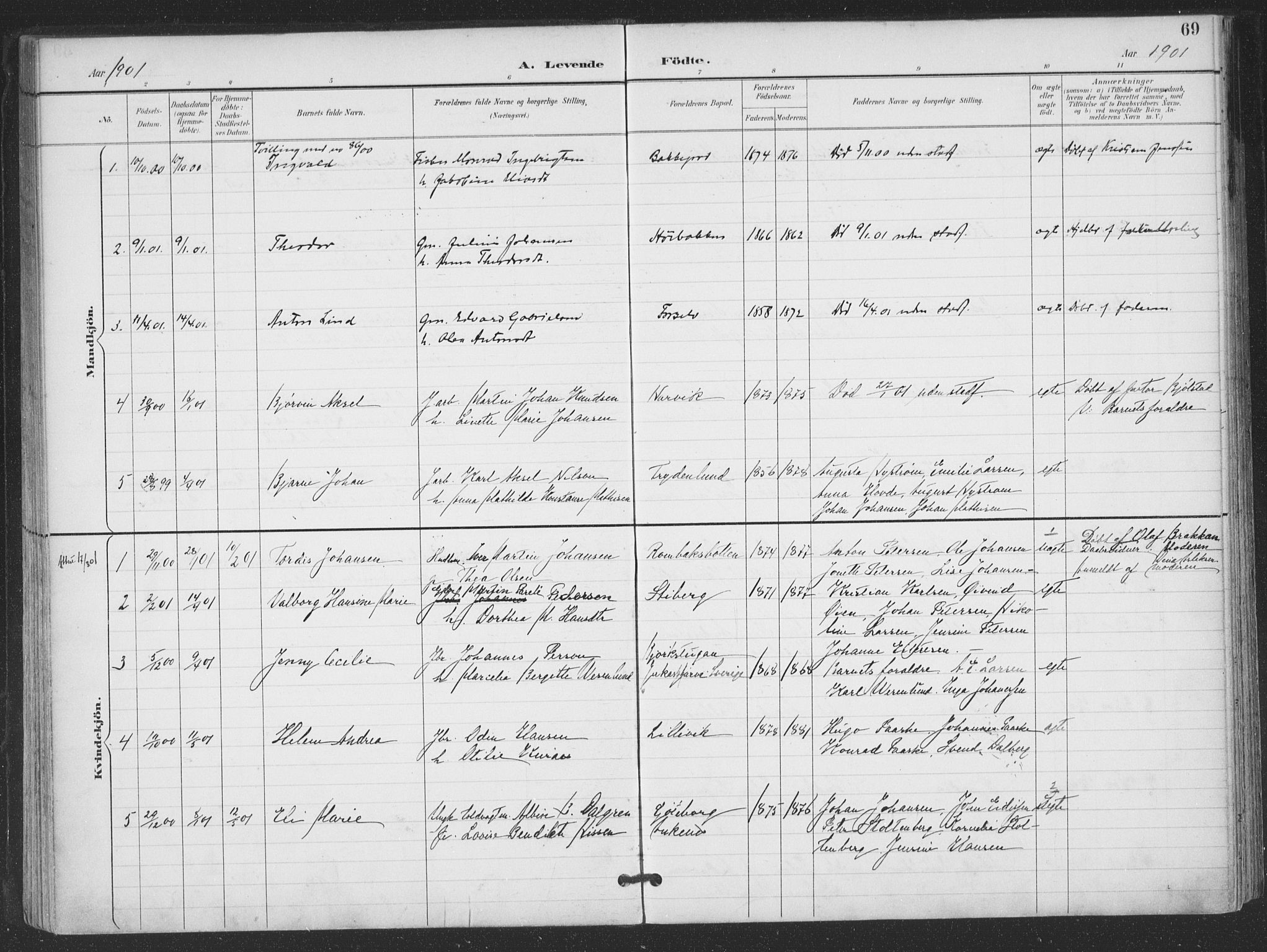 Ministerialprotokoller, klokkerbøker og fødselsregistre - Nordland, AV/SAT-A-1459/866/L0939: Parish register (official) no. 866A02, 1894-1906, p. 69