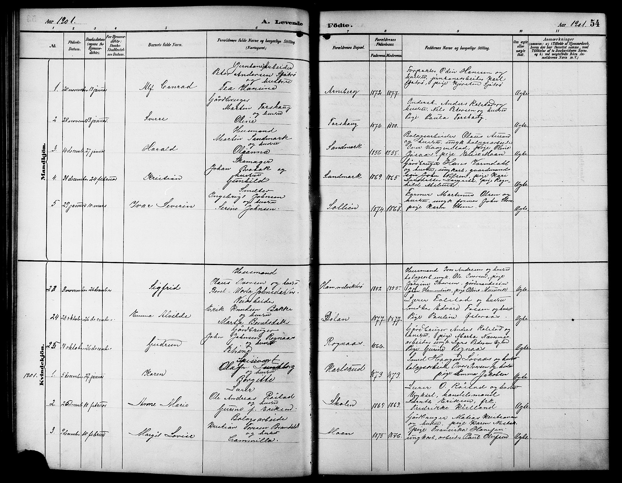 Ministerialprotokoller, klokkerbøker og fødselsregistre - Sør-Trøndelag, SAT/A-1456/617/L0431: Parish register (copy) no. 617C01, 1889-1910, p. 54