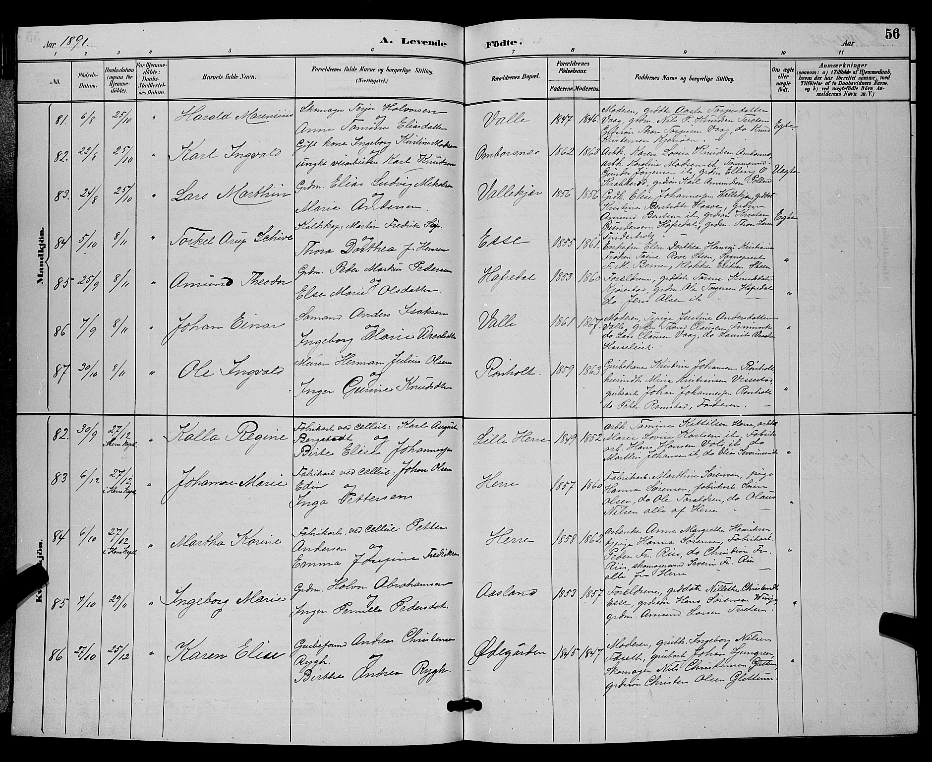 Bamble kirkebøker, AV/SAKO-A-253/G/Ga/L0009: Parish register (copy) no. I 9, 1888-1900, p. 56