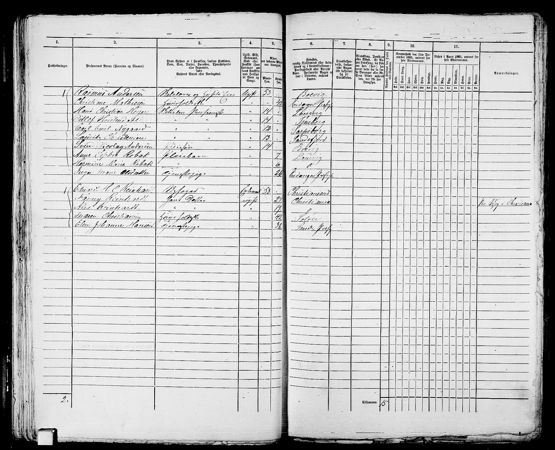 RA, 1865 census for Larvik, 1865, p. 53