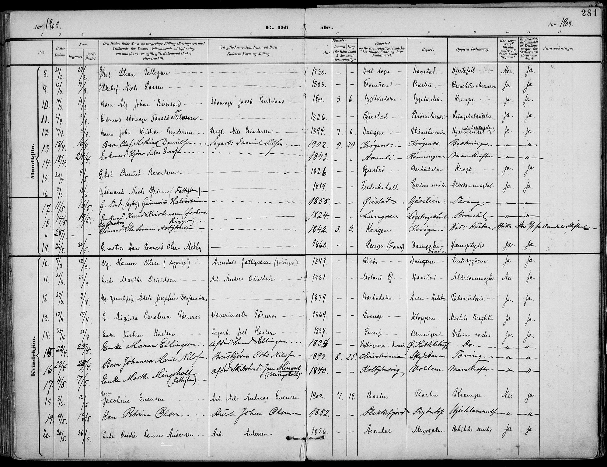 Barbu sokneprestkontor, AV/SAK-1111-0003/F/Fa/L0005: Parish register (official) no. A 5, 1899-1909, p. 281