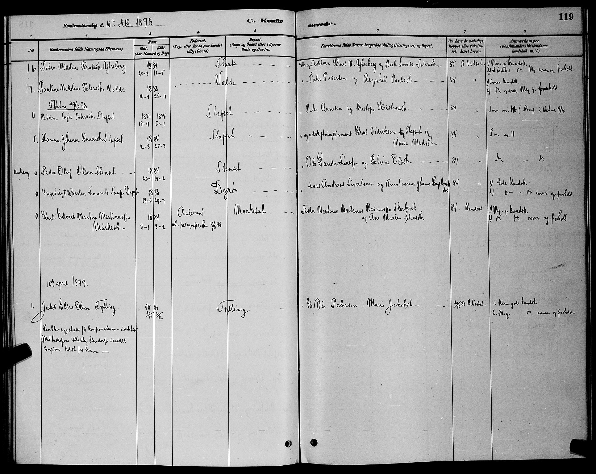 Ministerialprotokoller, klokkerbøker og fødselsregistre - Møre og Romsdal, AV/SAT-A-1454/524/L0365: Parish register (copy) no. 524C06, 1880-1899, p. 119