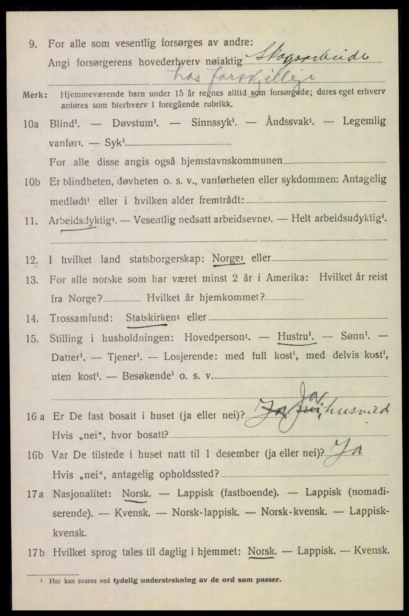 SAT, 1920 census for Saltdal, 1920, p. 8500